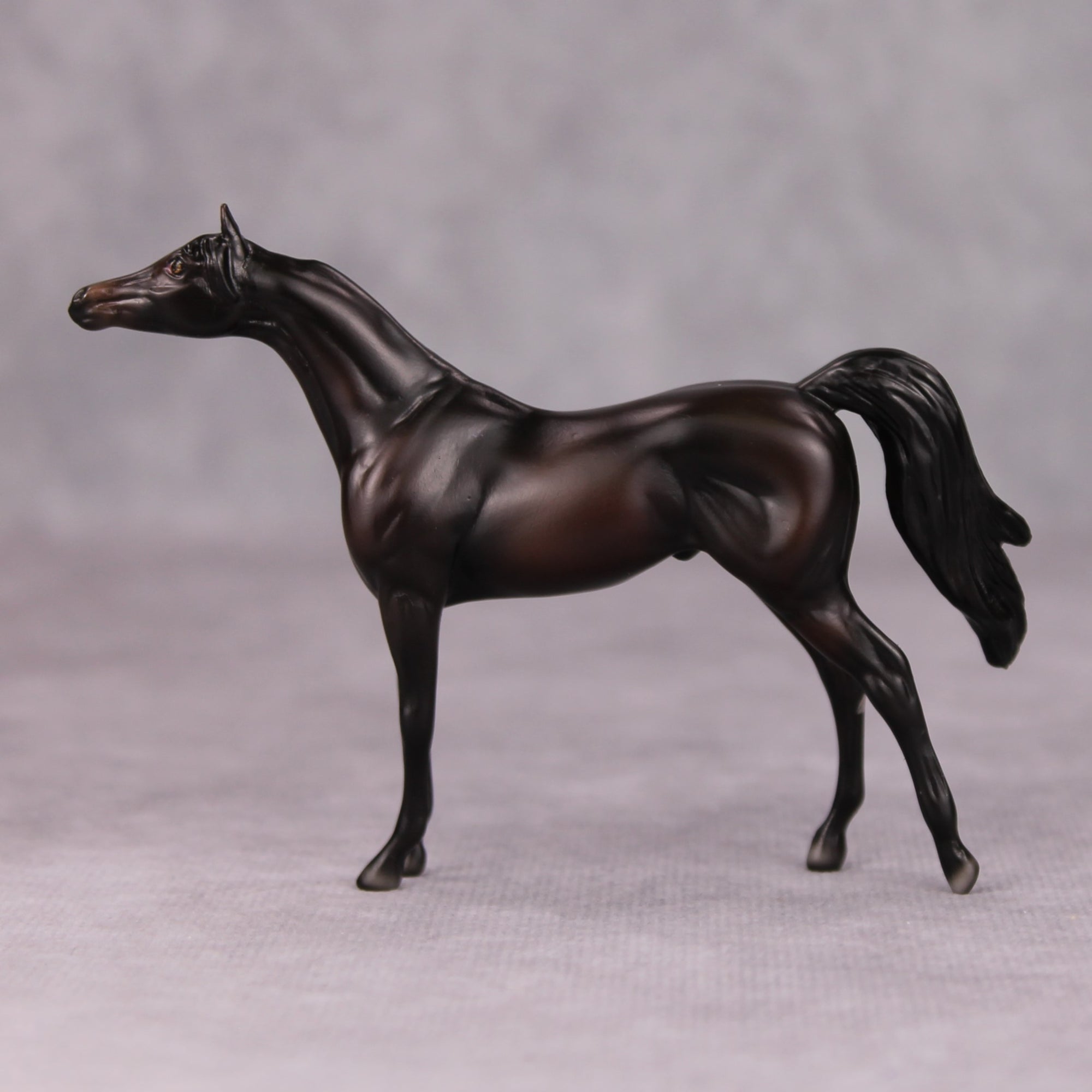 Dylan OOAK Shaded Black Arabian Chip By Ellen Robbins MM24