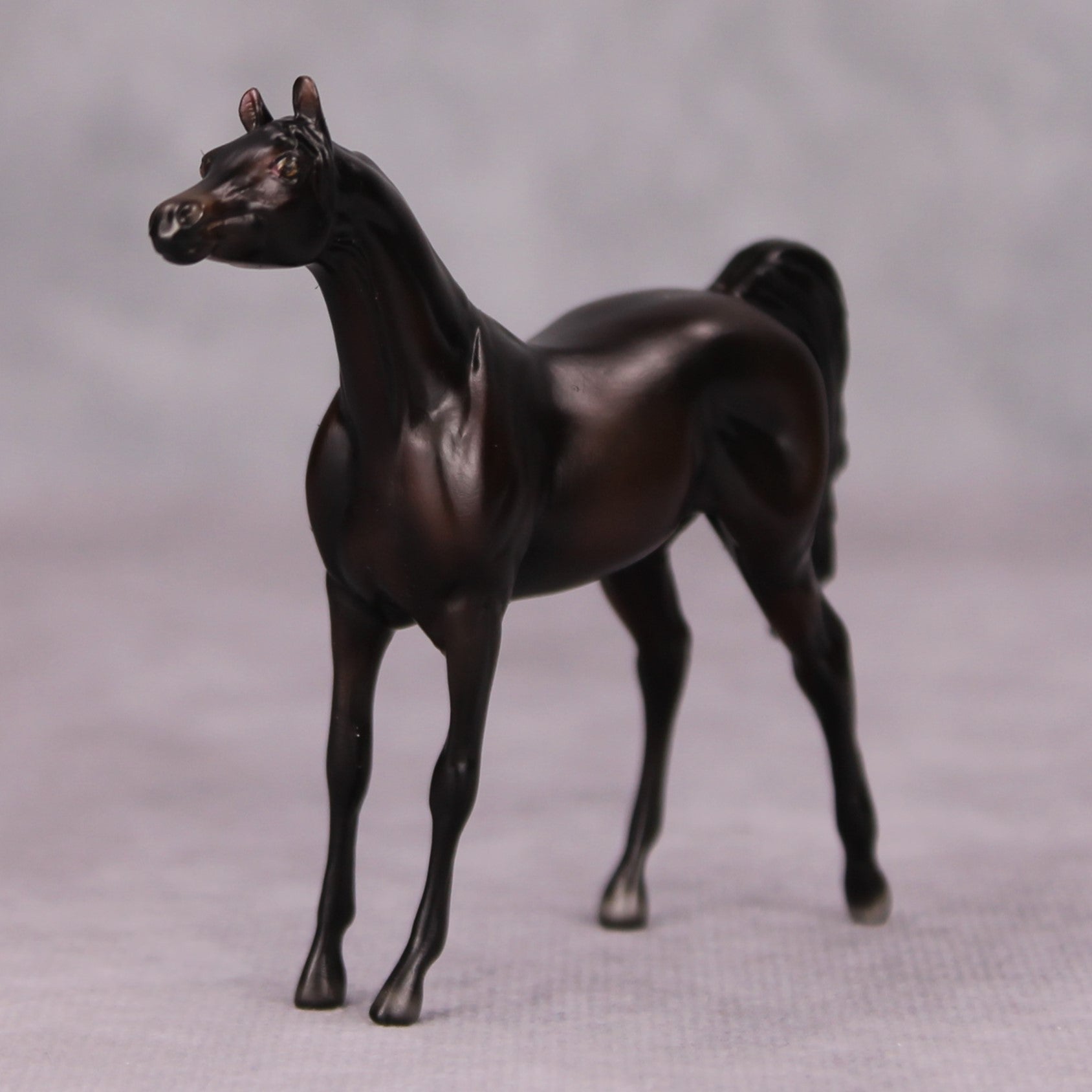 Dylan OOAK Shaded Black Arabian Chip By Ellen Robbins MM24