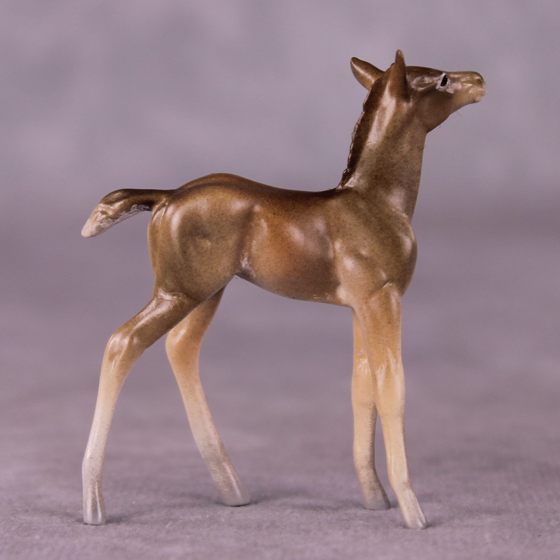 "Peter Cottontail" OOAK Foal Chip By Jess Hamill - Menagerie Series
