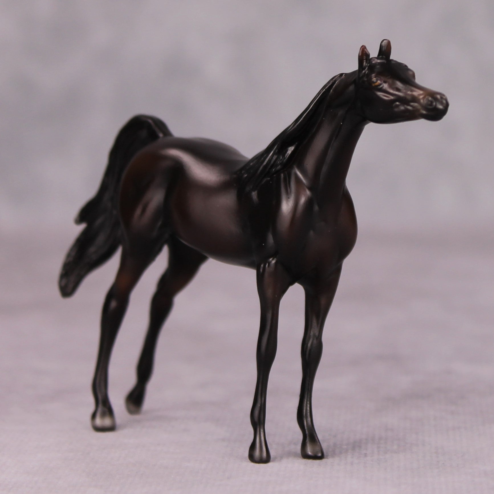 Dylan OOAK Shaded Black Arabian Chip By Ellen Robbins MM24