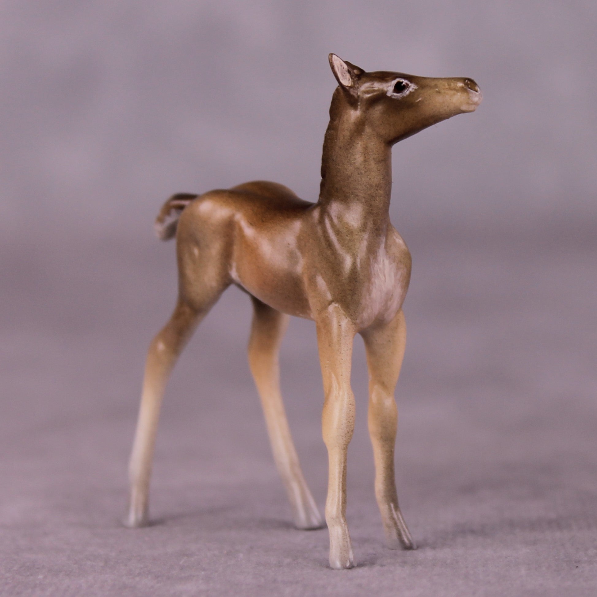 "Peter Cottontail" OOAK Foal Chip By Jess Hamill - Menagerie Series