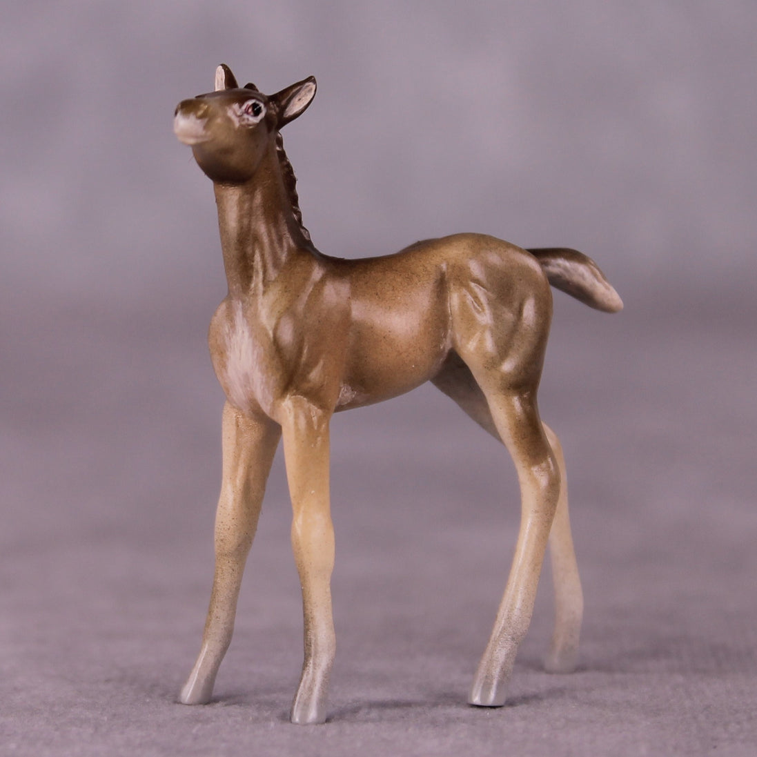 "Peter Cottontail" OOAK Foal Chip By Jess Hamill - Menagerie Series