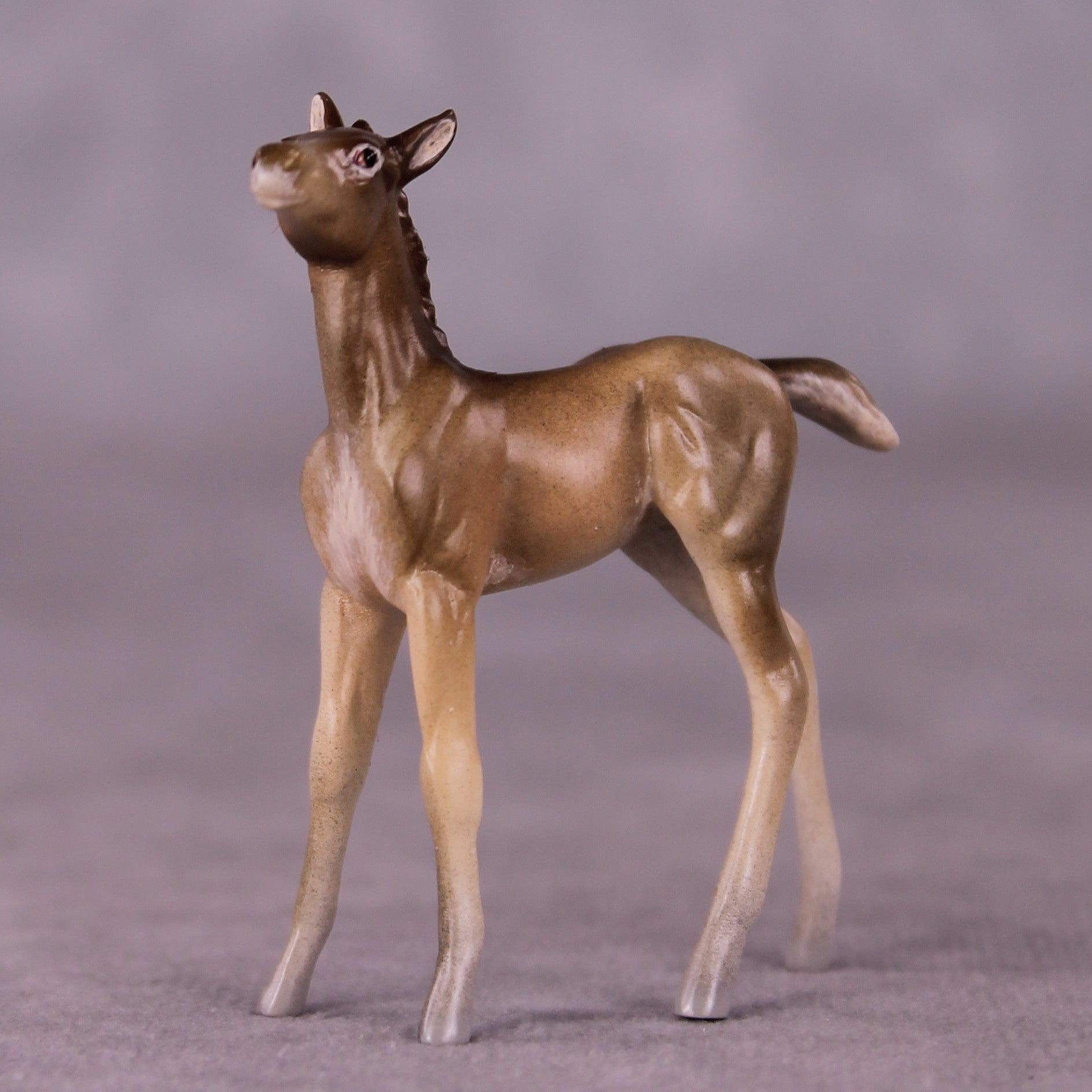 "Peter Cottontail" OOAK Foal Chip By Jess Hamill - Menagerie Series