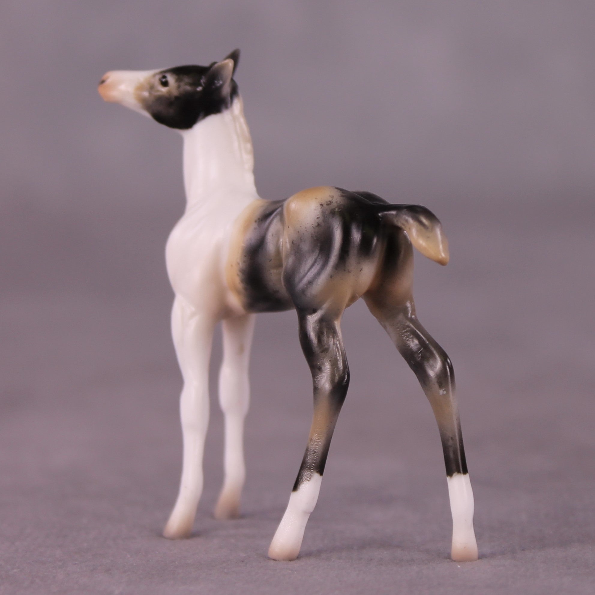 &quot;Benjamin&quot; OOAK Foal Chip By Jess Hamill - Menagerie Series