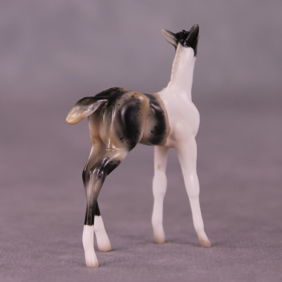 "Benjamin" OOAK Foal Chip By Jess Hamill - Menagerie Series