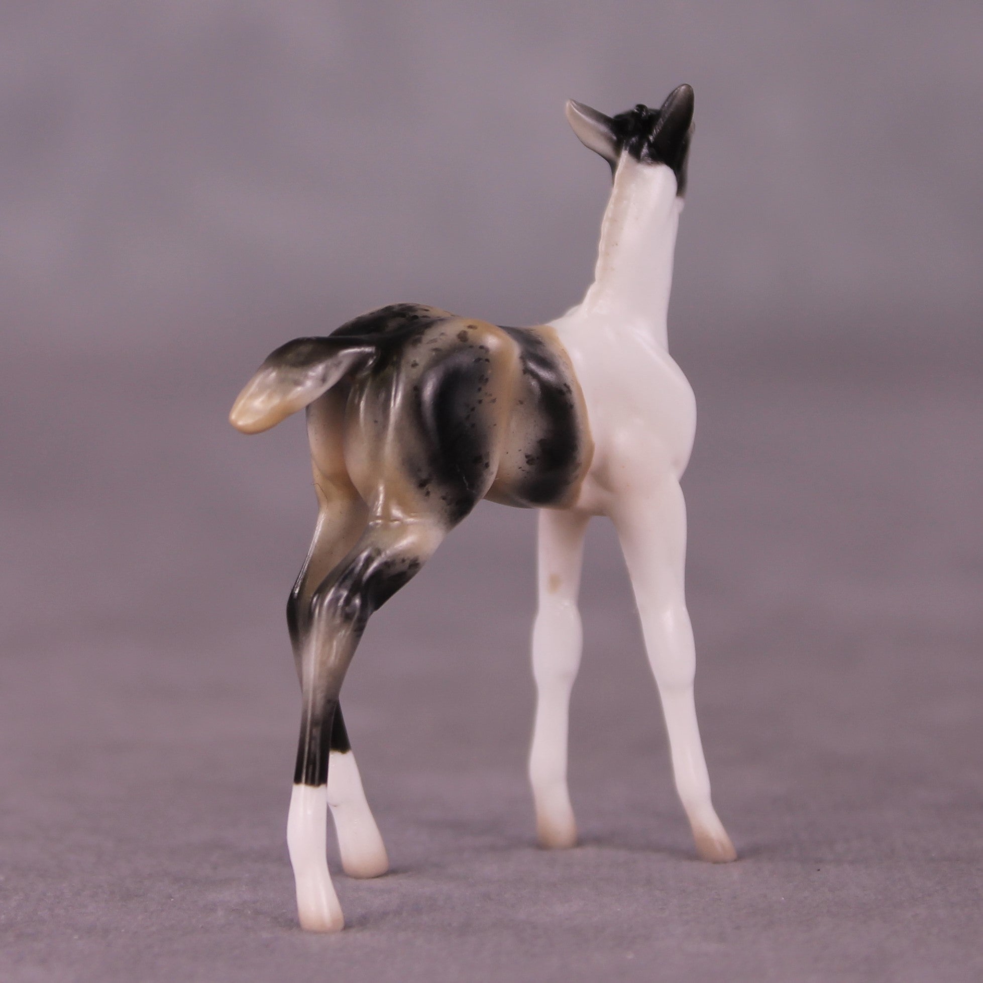 &quot;Benjamin&quot; OOAK Foal Chip By Jess Hamill - Menagerie Series