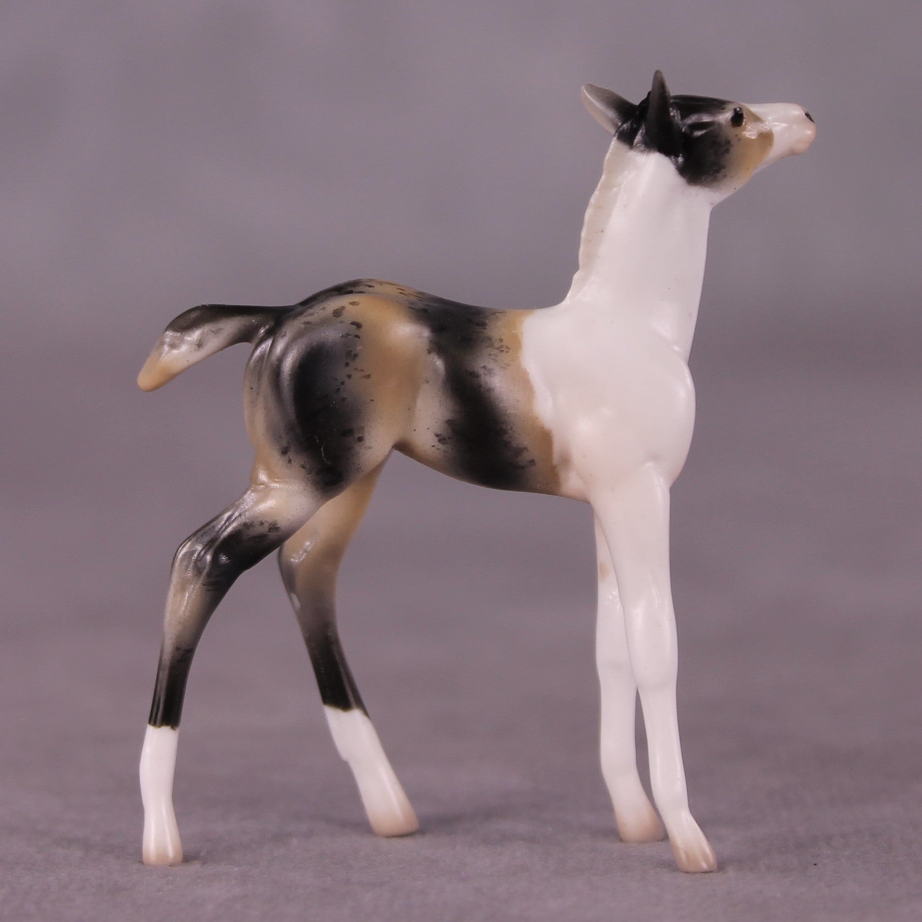 &quot;Benjamin&quot; OOAK Foal Chip By Jess Hamill - Menagerie Series