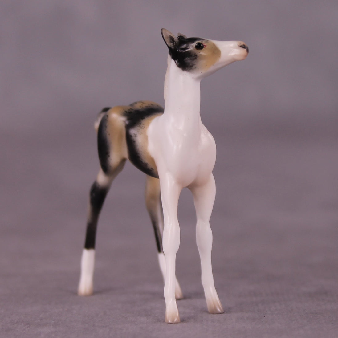 "Benjamin" OOAK Foal Chip By Jess Hamill - Menagerie Series