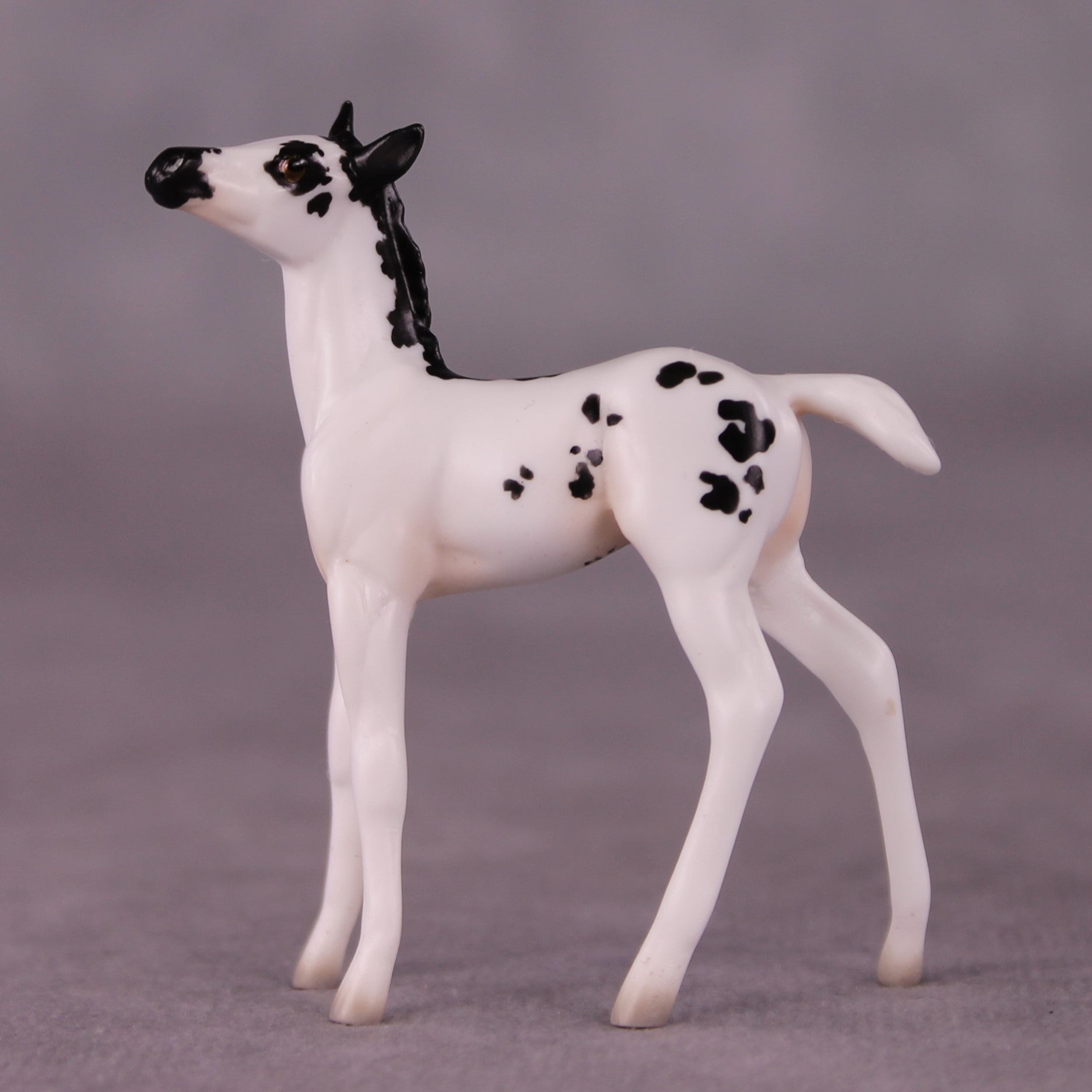 "Lady Bunny" OOAK Foal Chip By Jess Hamill - Menagerie Series