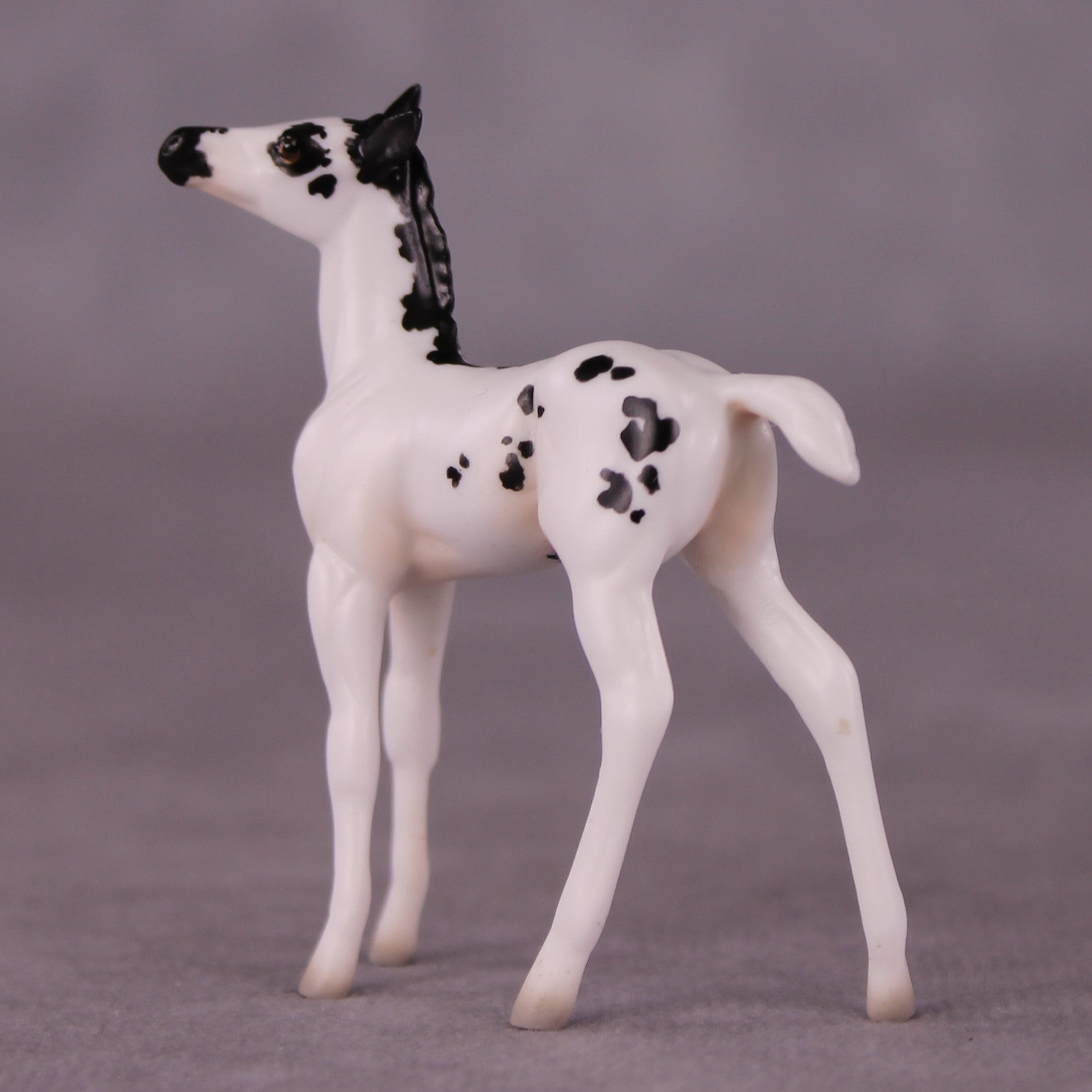"Lady Bunny" OOAK Foal Chip By Jess Hamill - Menagerie Series