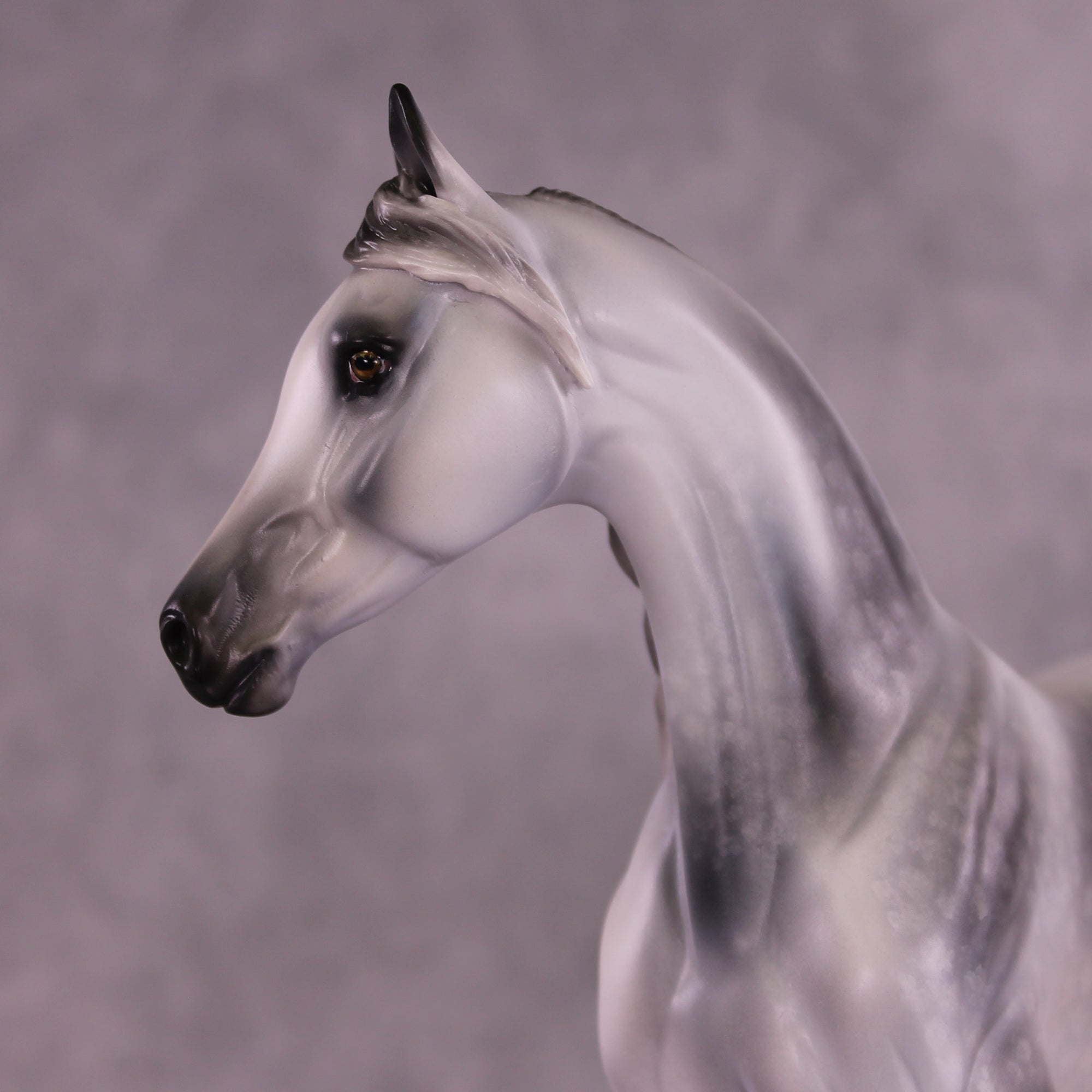 Elysium OOAK FCM Arabian Mare by Jess Hamill Best Offer 9/23/2025