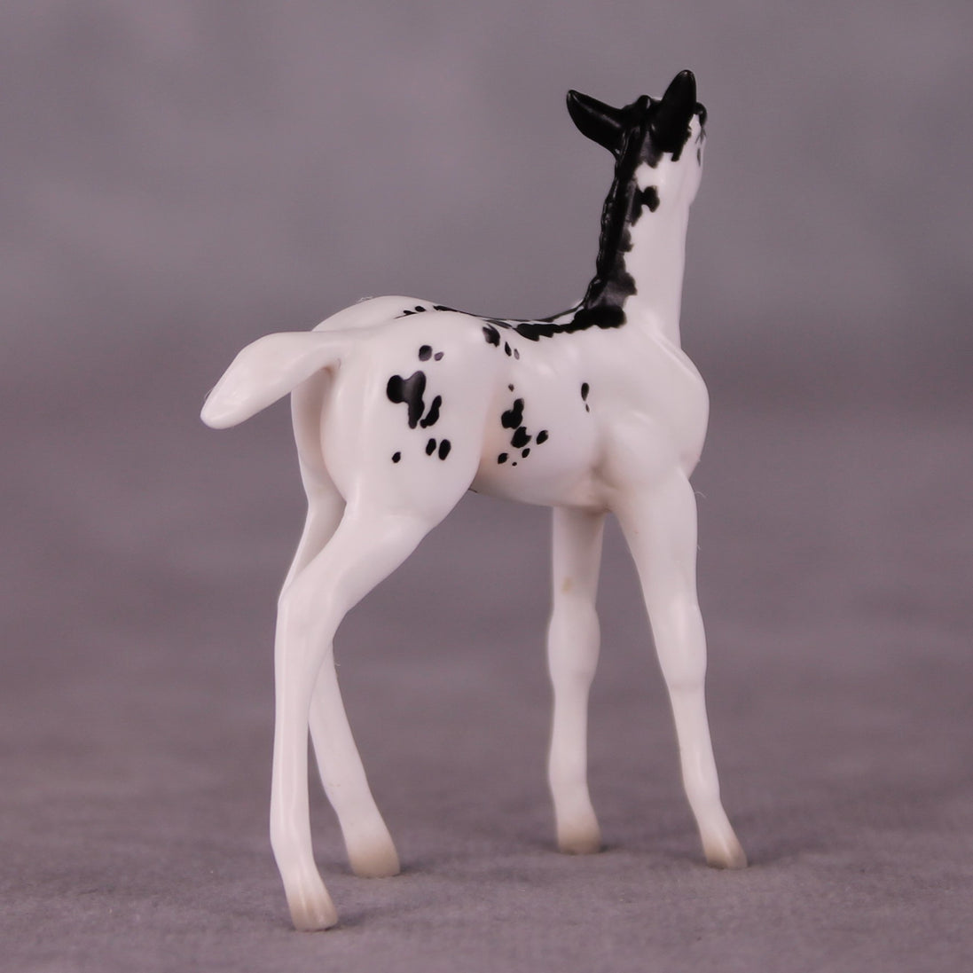 "Lady Bunny" OOAK Foal Chip By Jess Hamill - Menagerie Series