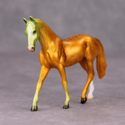 Be Prepared OOAK Halloween Colors Multicolor Deco Warmblood  Chip By Jess Hamill MM24