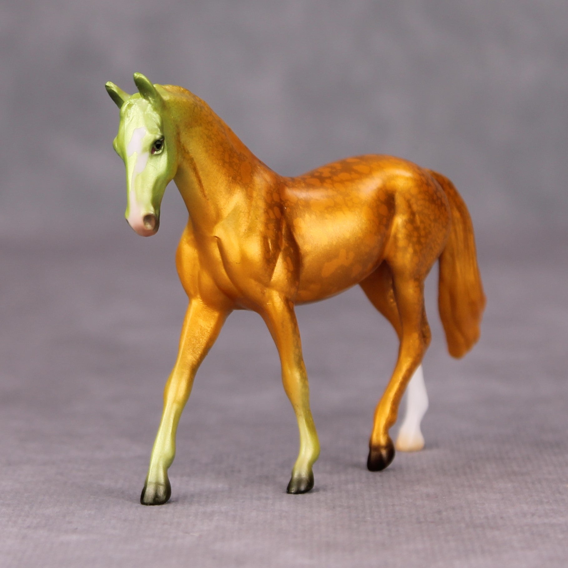 Be Prepared OOAK Halloween Colors Multicolor Deco Warmblood  Chip By Jess Hamill MM24