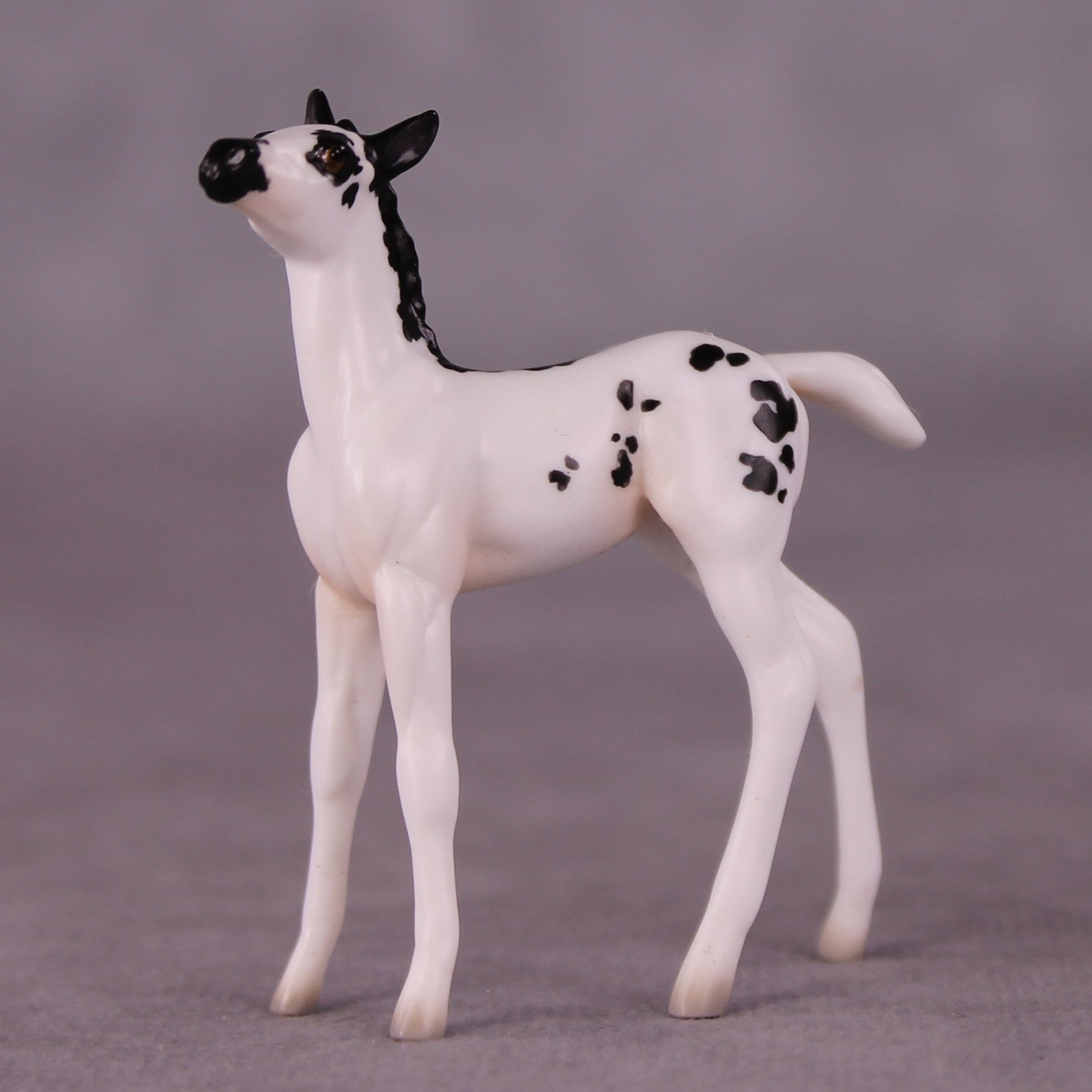 "Lady Bunny" OOAK Foal Chip By Jess Hamill - Menagerie Series