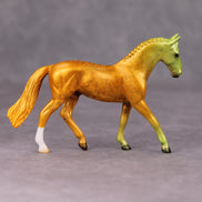 Be Prepared OOAK Halloween Colors Multicolor Deco Warmblood  Chip By Jess Hamill MM24