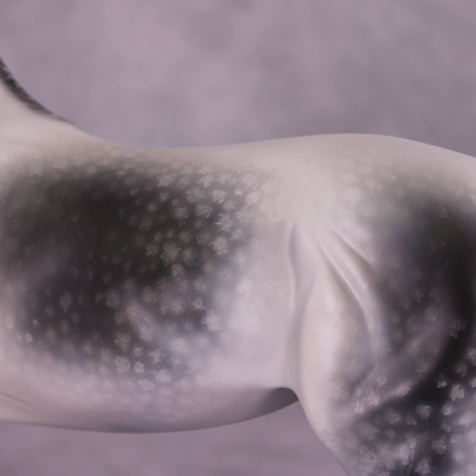 Elysium OOAK FCM Arabian Mare by Jess Hamill Best Offer 9/23/2025