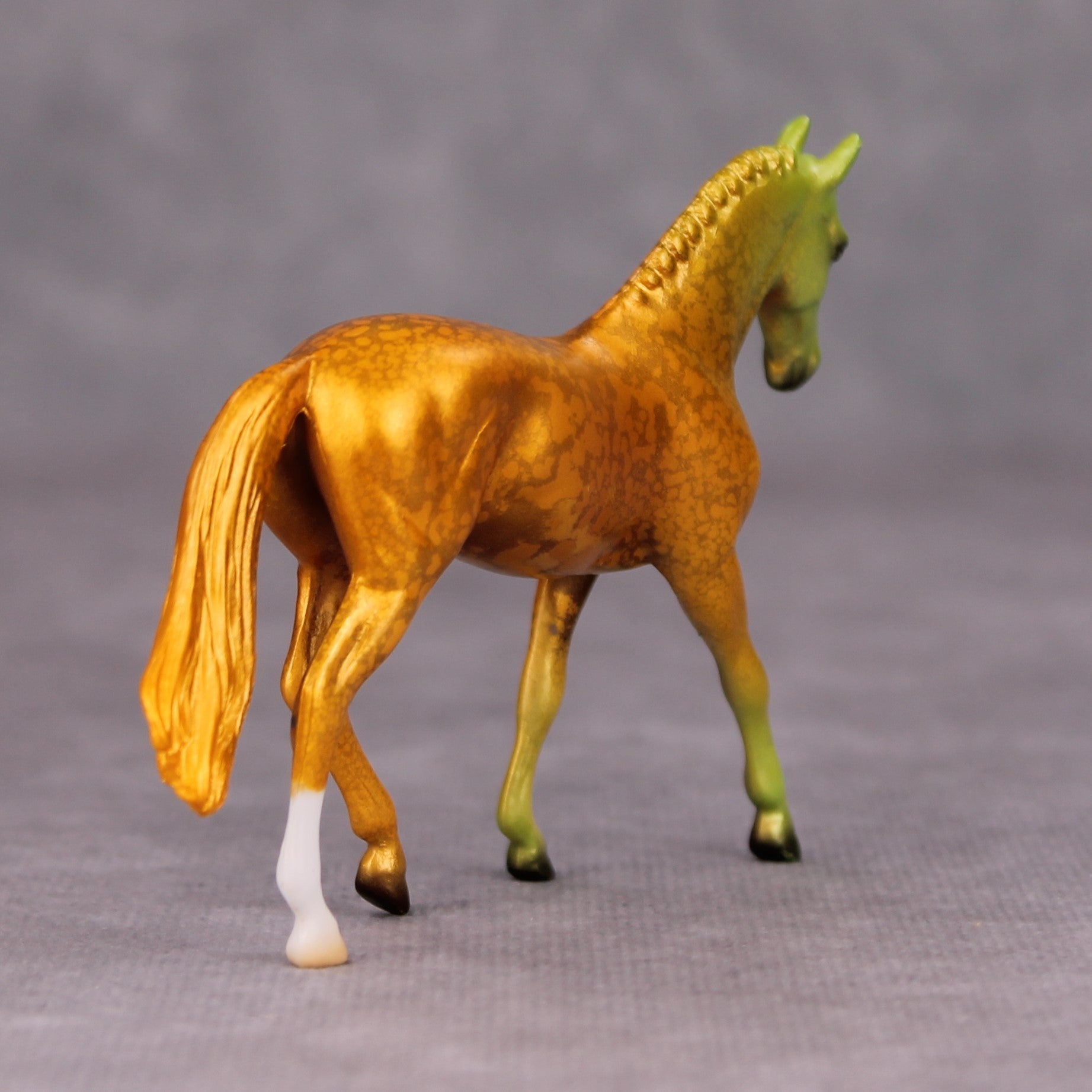 Be Prepared OOAK Halloween Colors Multicolor Deco Warmblood  Chip By Jess Hamill MM24