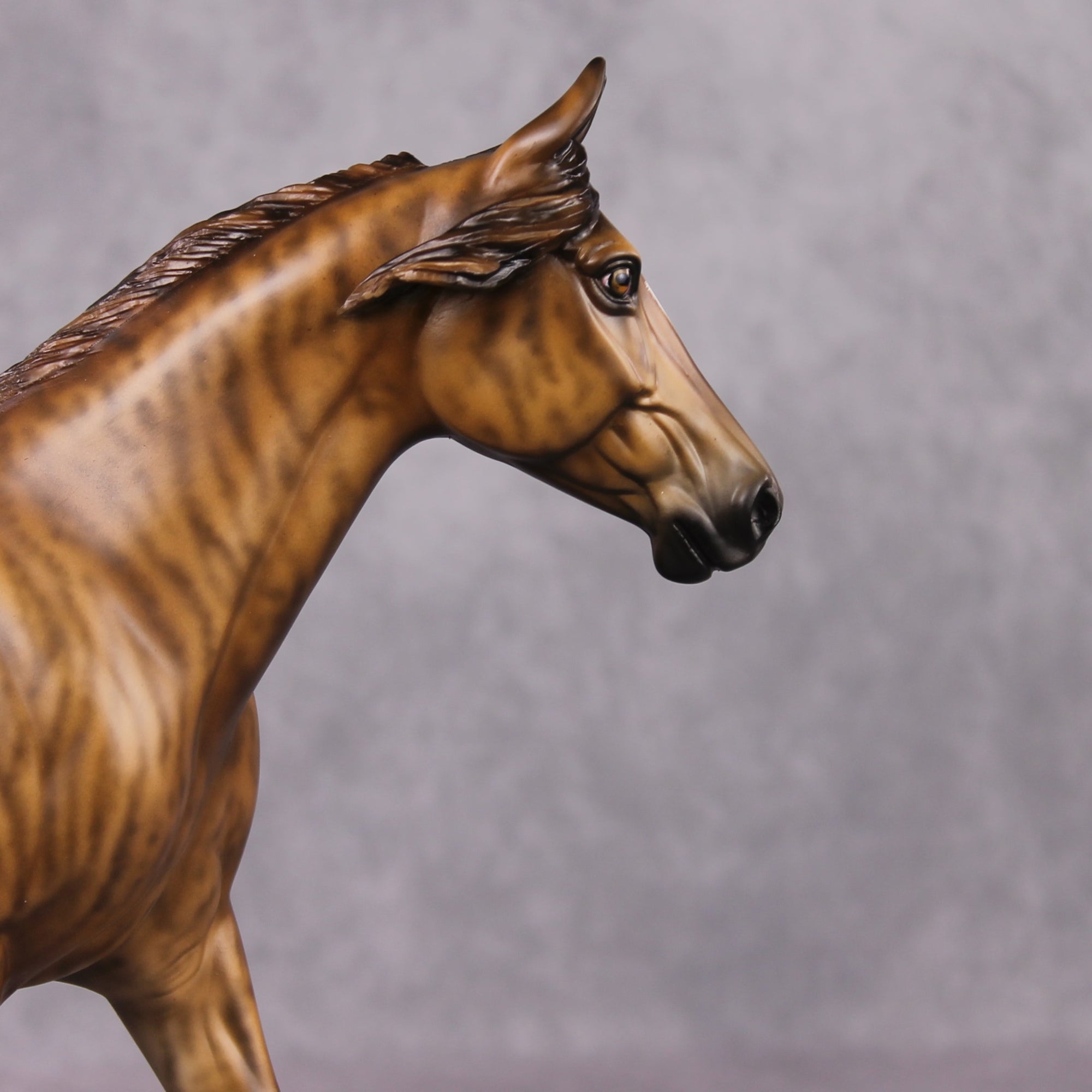 Dynamo OOAK Brindle Custom Palouse By Sheryl Leisure Best Offer 03/04/2025