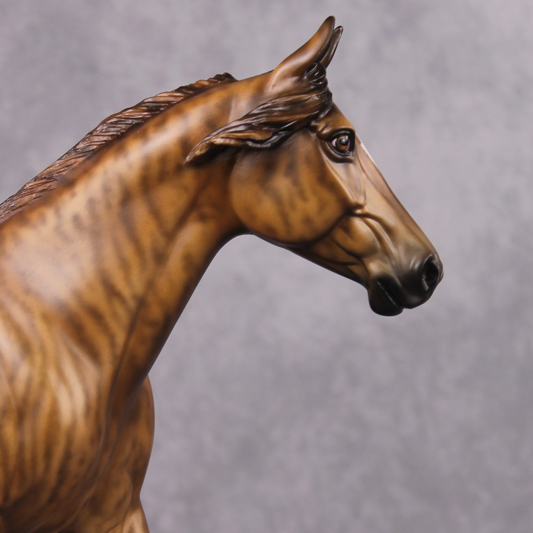 Dynamo OOAK Brindle Custom Palouse By Sheryl Leisure Best Offer 03/04/2025