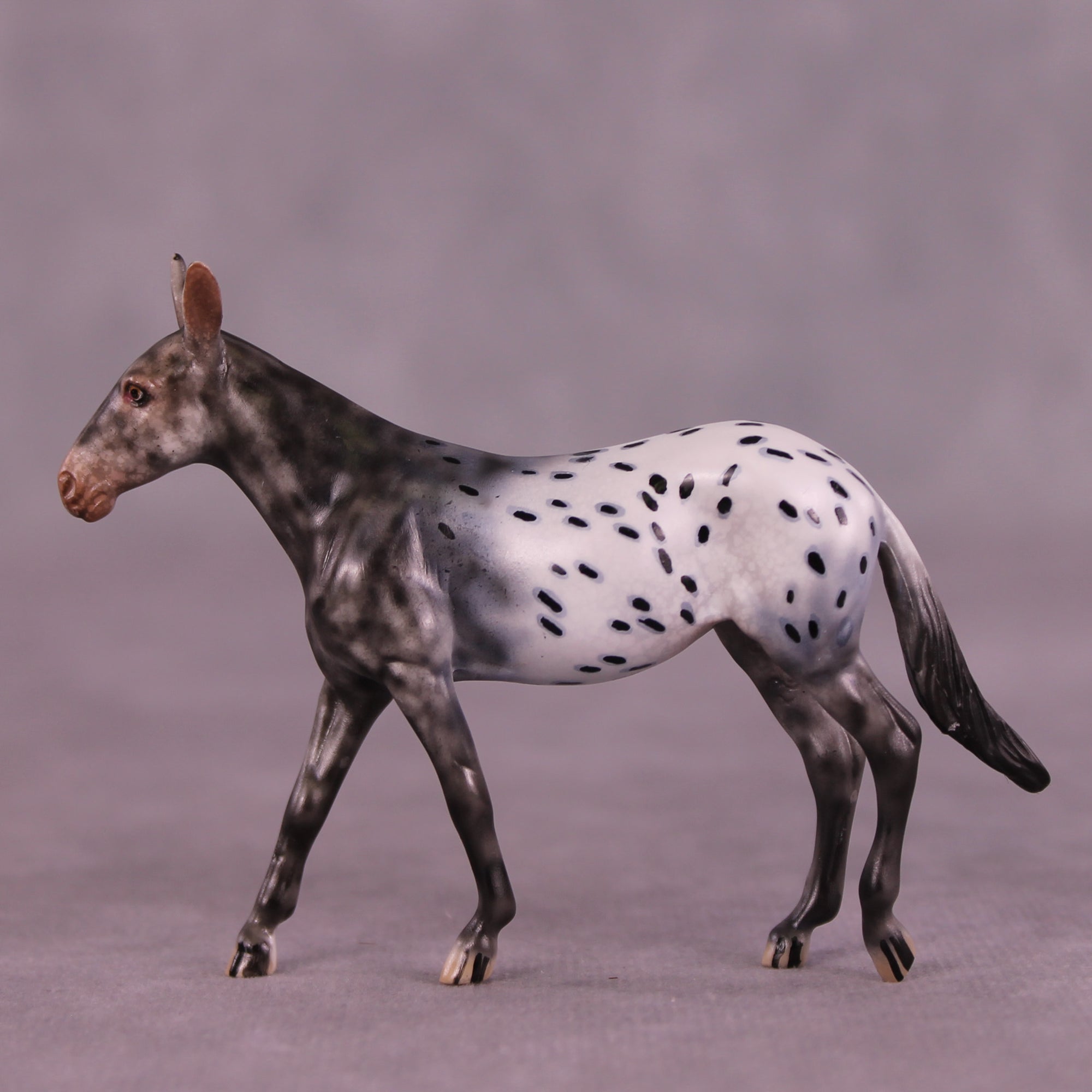 Bradford OOAK Mule Chip by Dawn Quick LHS25