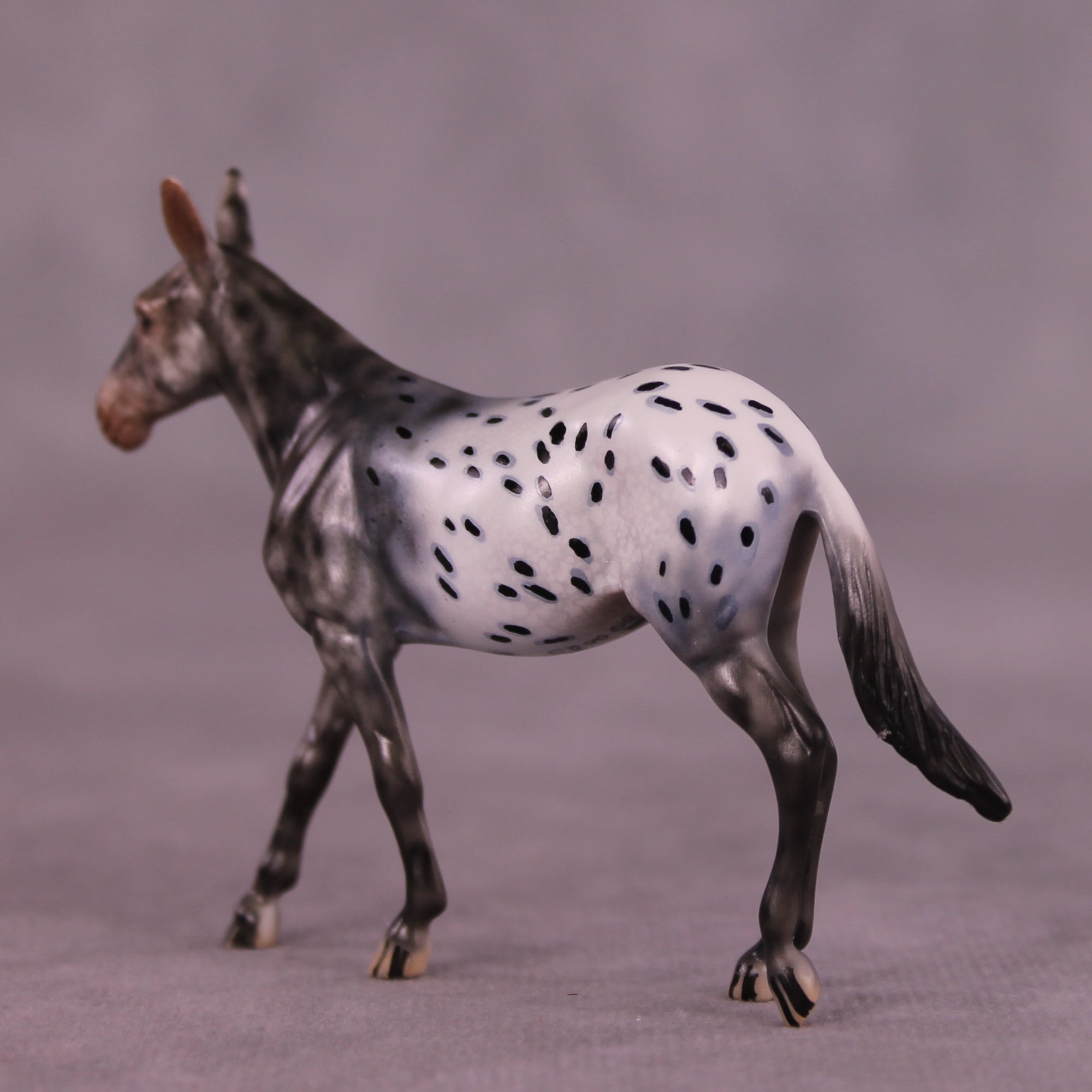 Bradford OOAK Mule Chip by Dawn Quick LHS25