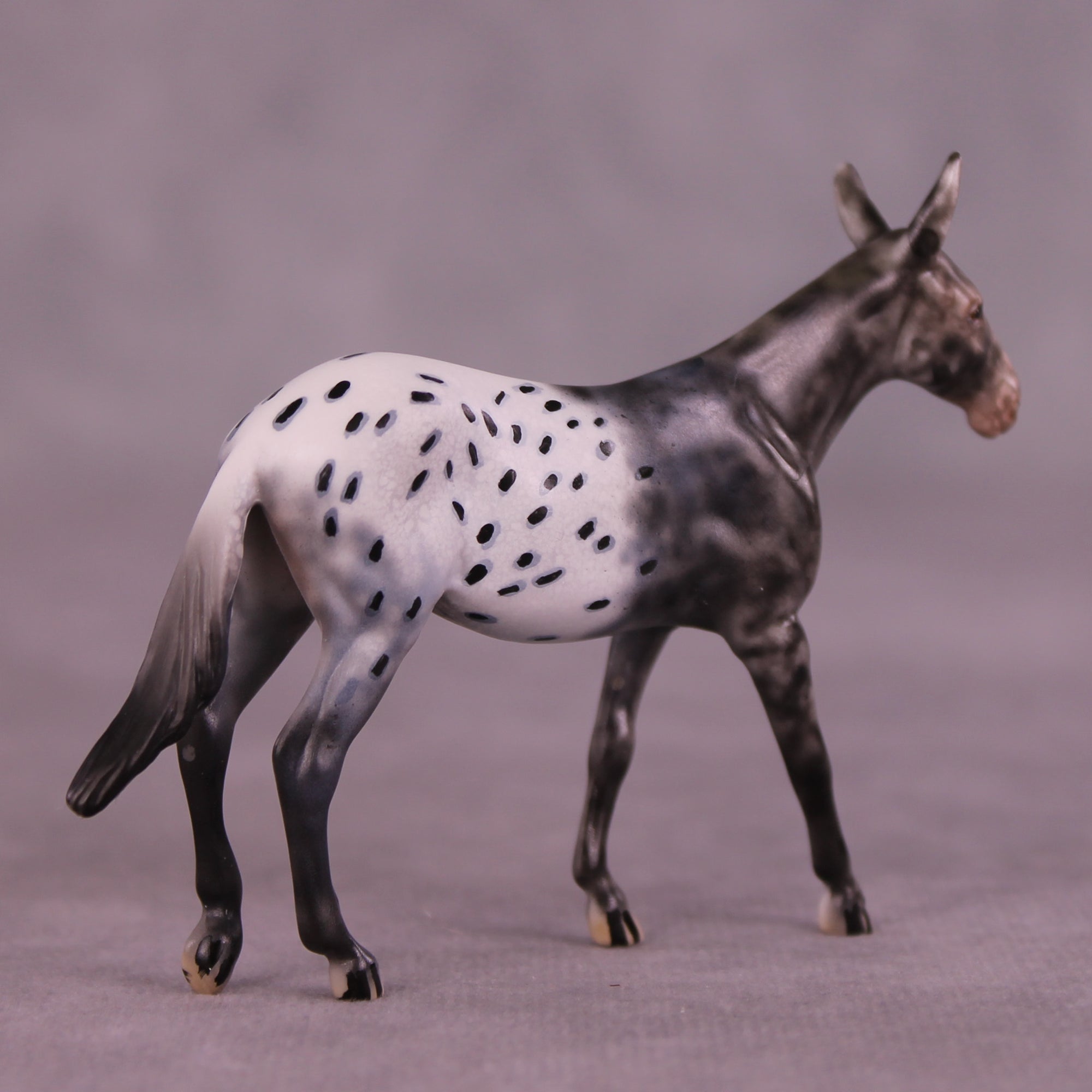 Bradford OOAK Mule Chip by Dawn Quick LHS25