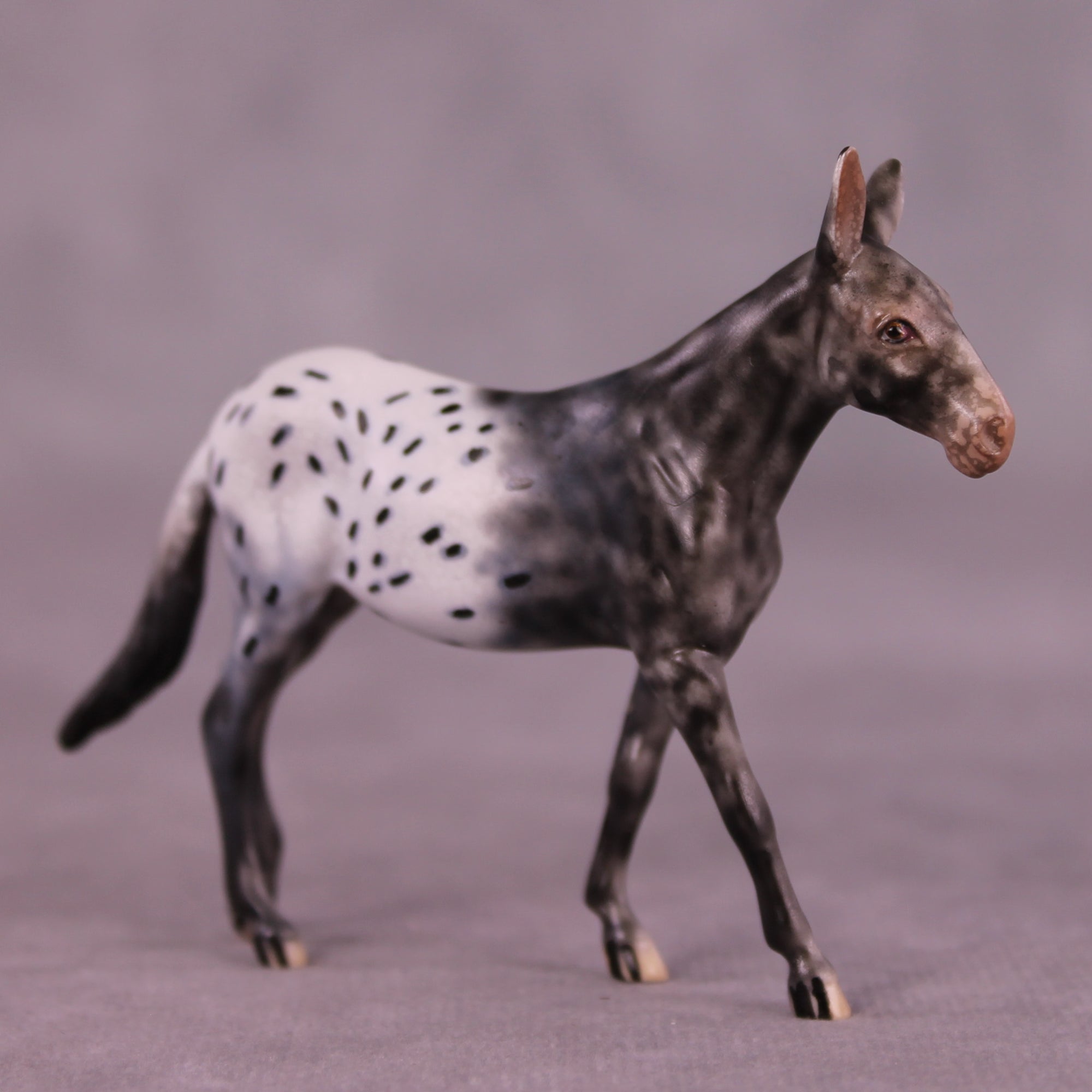 Bradford OOAK Mule Chip by Dawn Quick LHS25