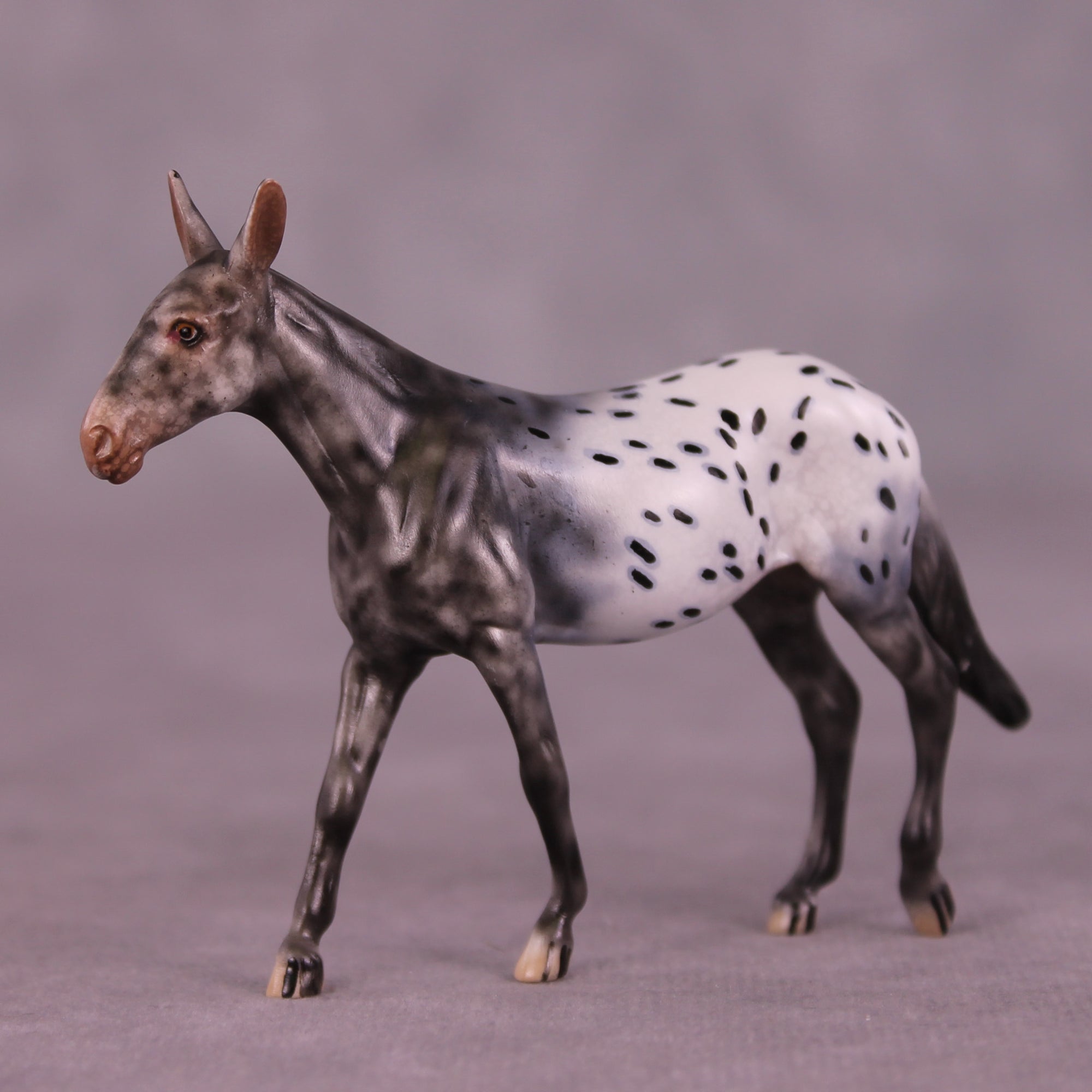 Bradford OOAK Mule Chip by Dawn Quick LHS25