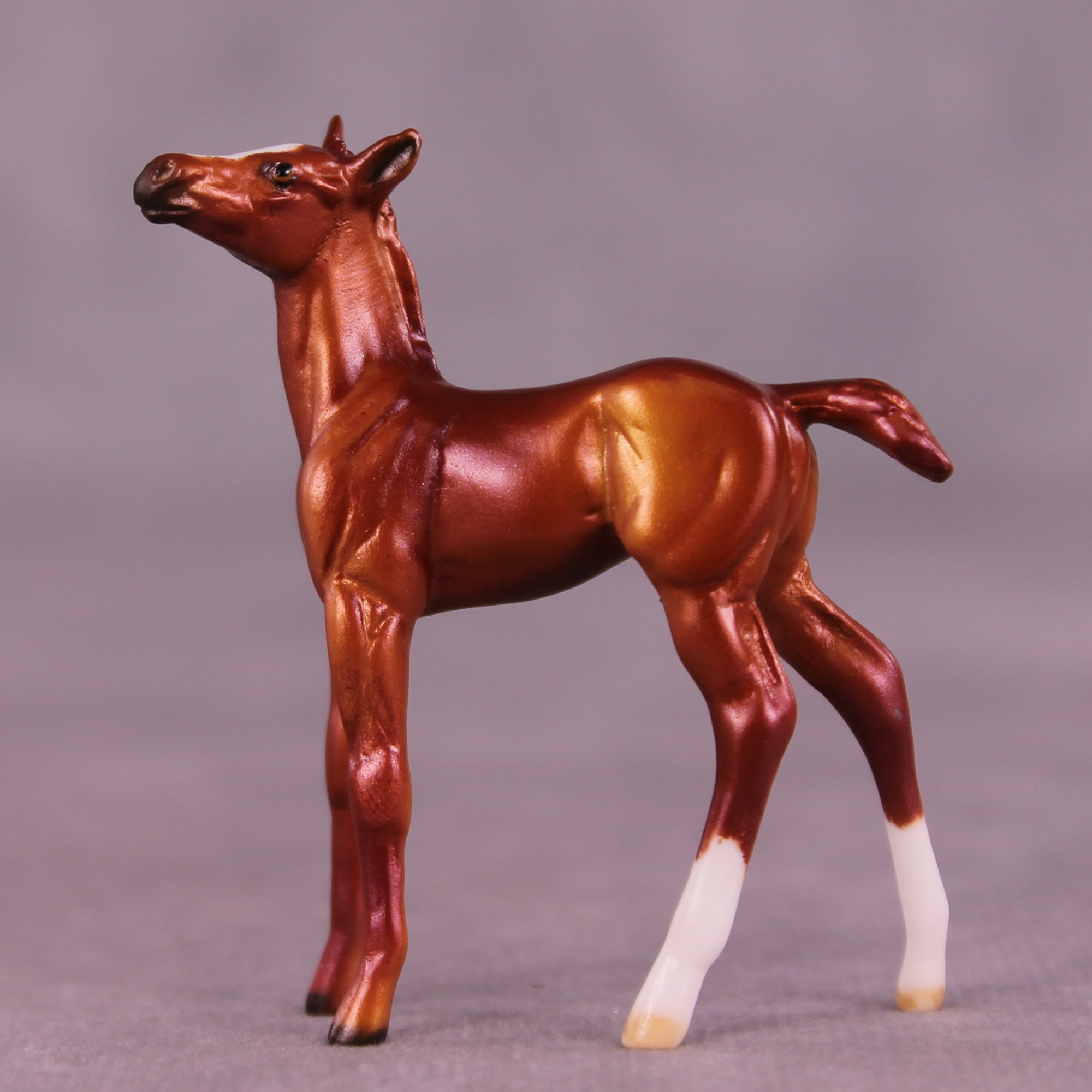 Peet OOAK Foal Chip by Dawn Quick LHS25