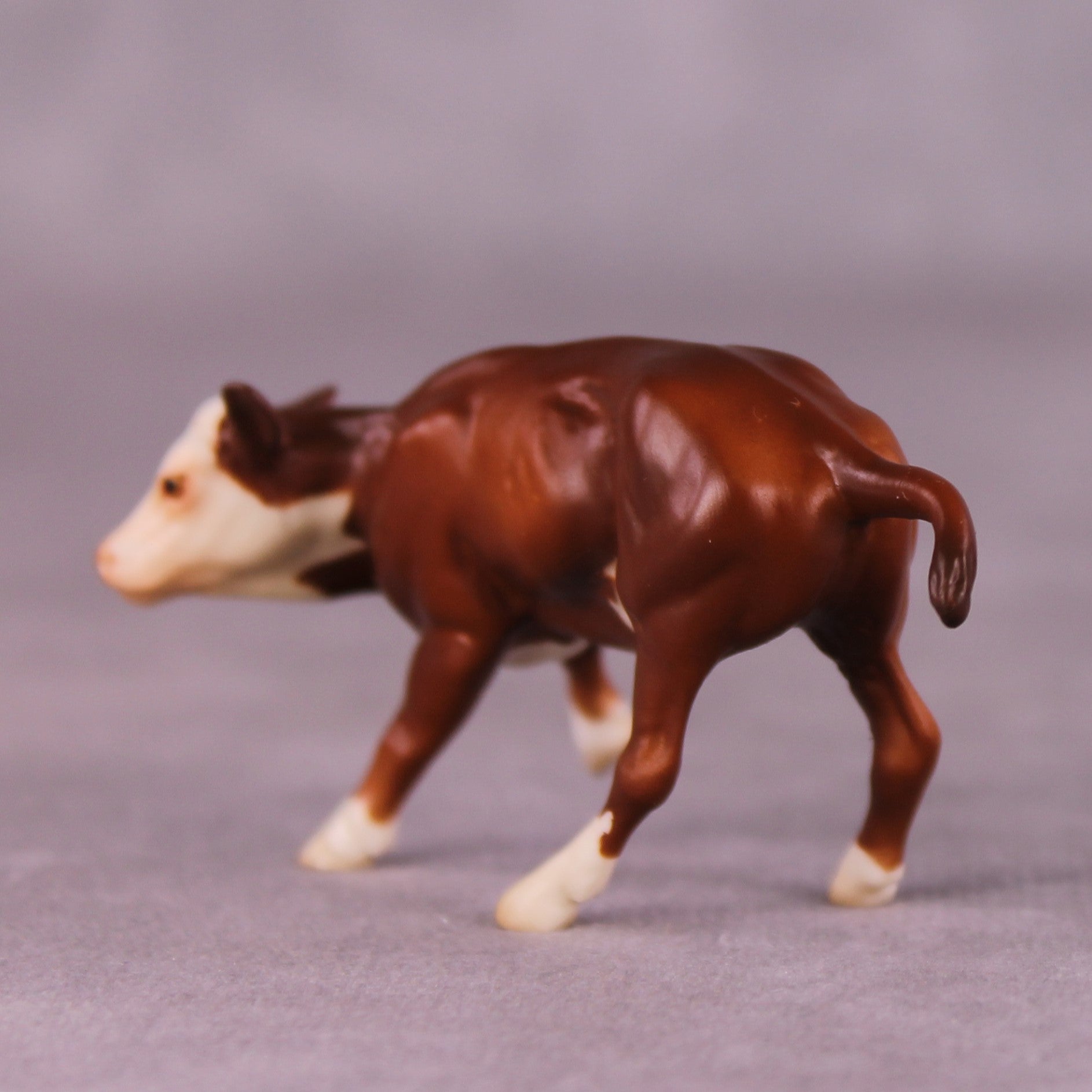 "Clairabelle" OOAK Calf Chip By Jess Hamill - Menagerie Series