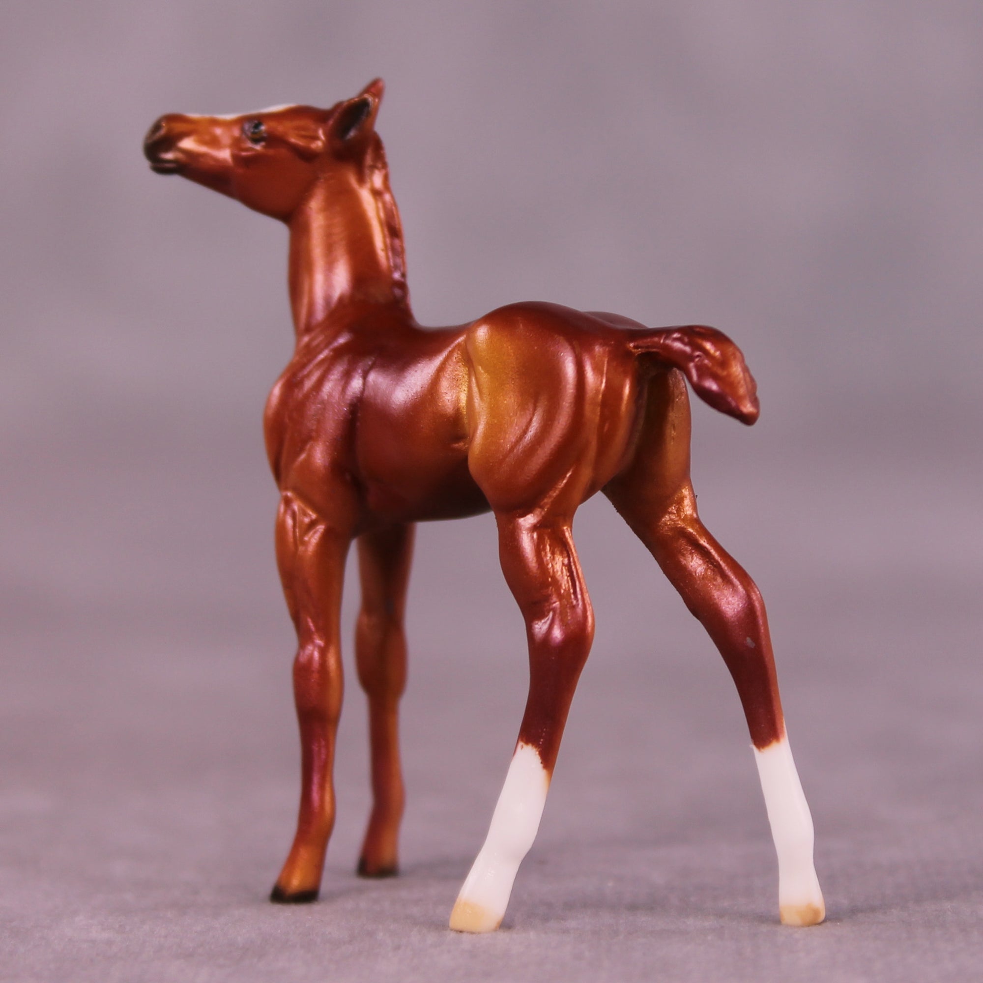 Peet OOAK Foal Chip by Dawn Quick LHS25