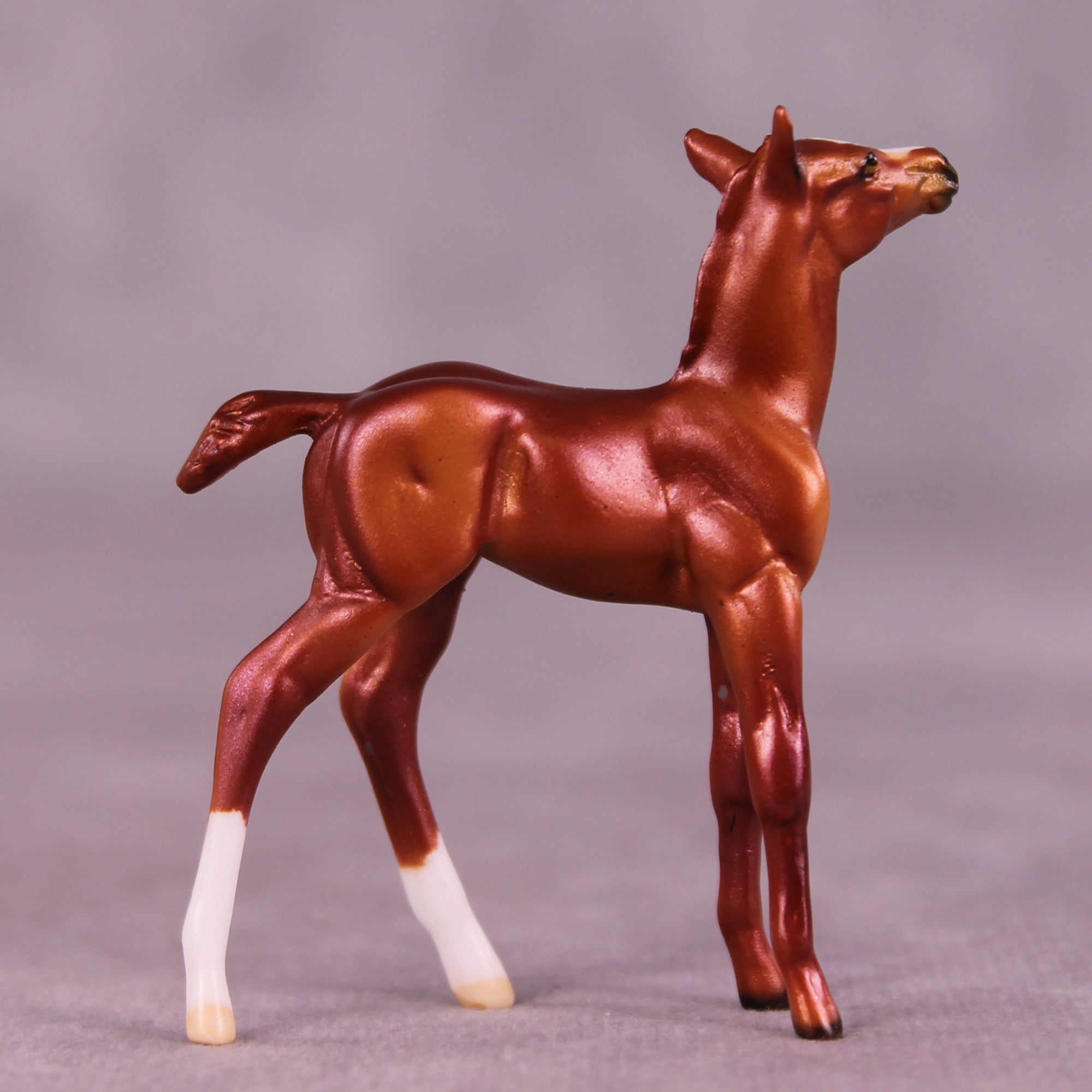 Peet OOAK Foal Chip by Dawn Quick LHS25