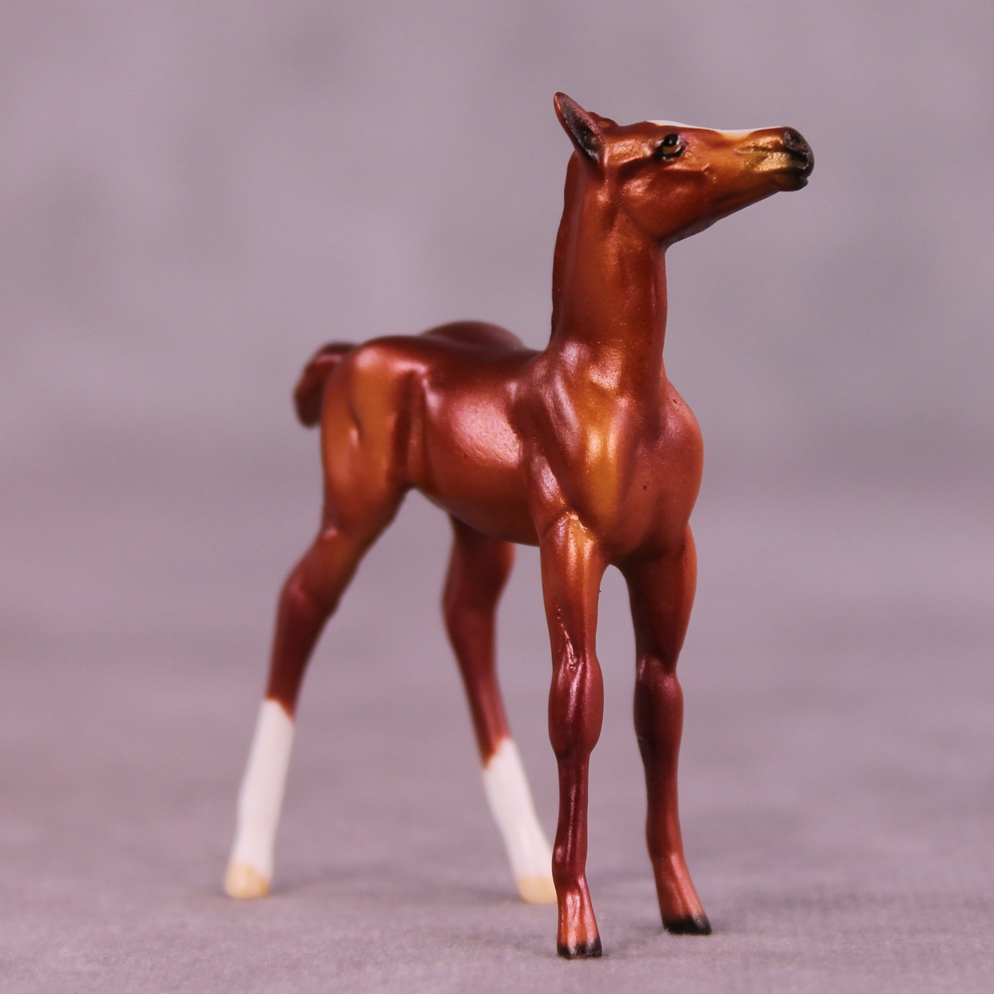 Peet OOAK Foal Chip by Dawn Quick LHS25