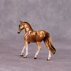 &quot;Harvest Moon&quot; OOAK Warmblood Chip by Kike Duarte SHCF25OS