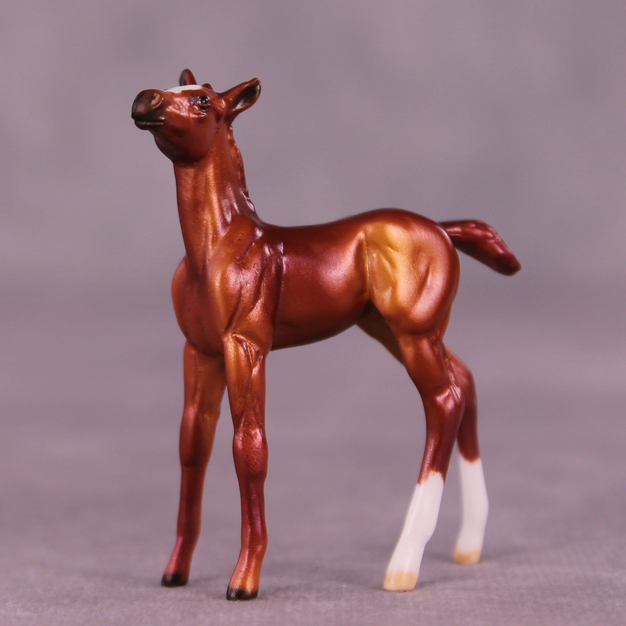 Peet OOAK Foal Chip by Dawn Quick LHS25