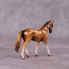 &quot;Harvest Moon&quot; OOAK Warmblood Chip by Kike Duarte SHCF25OS