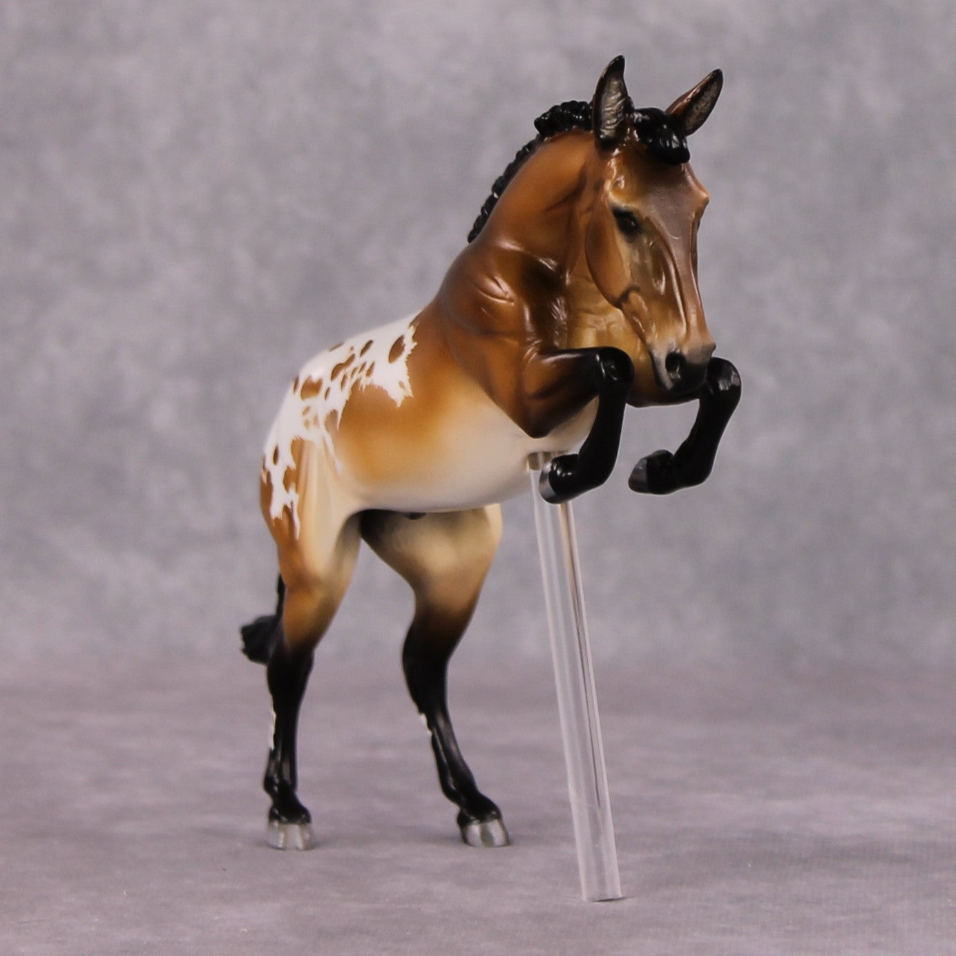 "Jumpin Jack Purdy" OOAK EFCM Jumping Pebble Mule By Tiffany Purdy - GemStone Series