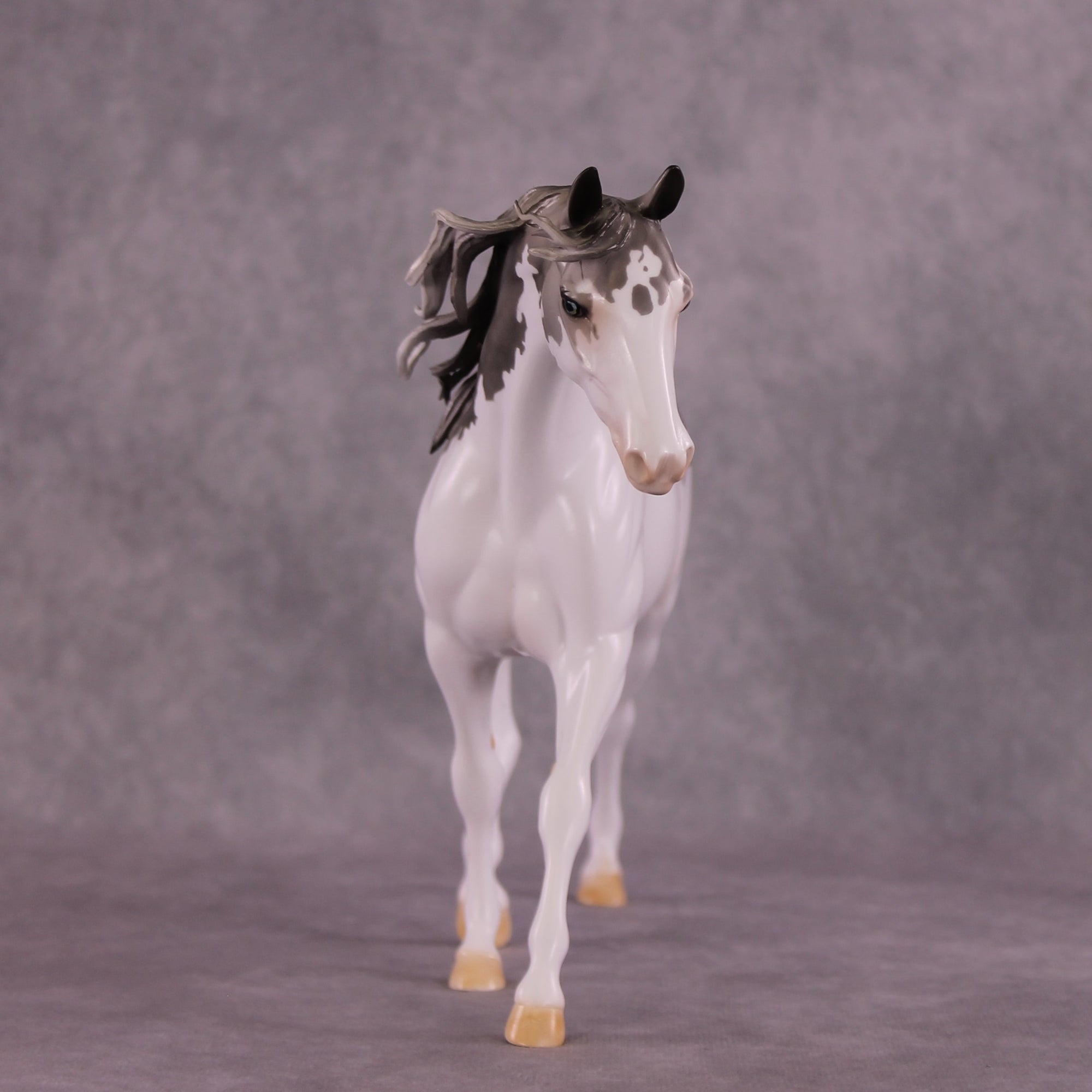 "Distant Star" OOAK FCM Pony by Dawn Quick Best Offer 07/08/25