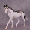 &quot;Distant Star&quot; OOAK FCM Pony by Dawn Quick Best Offer 07/08/25
