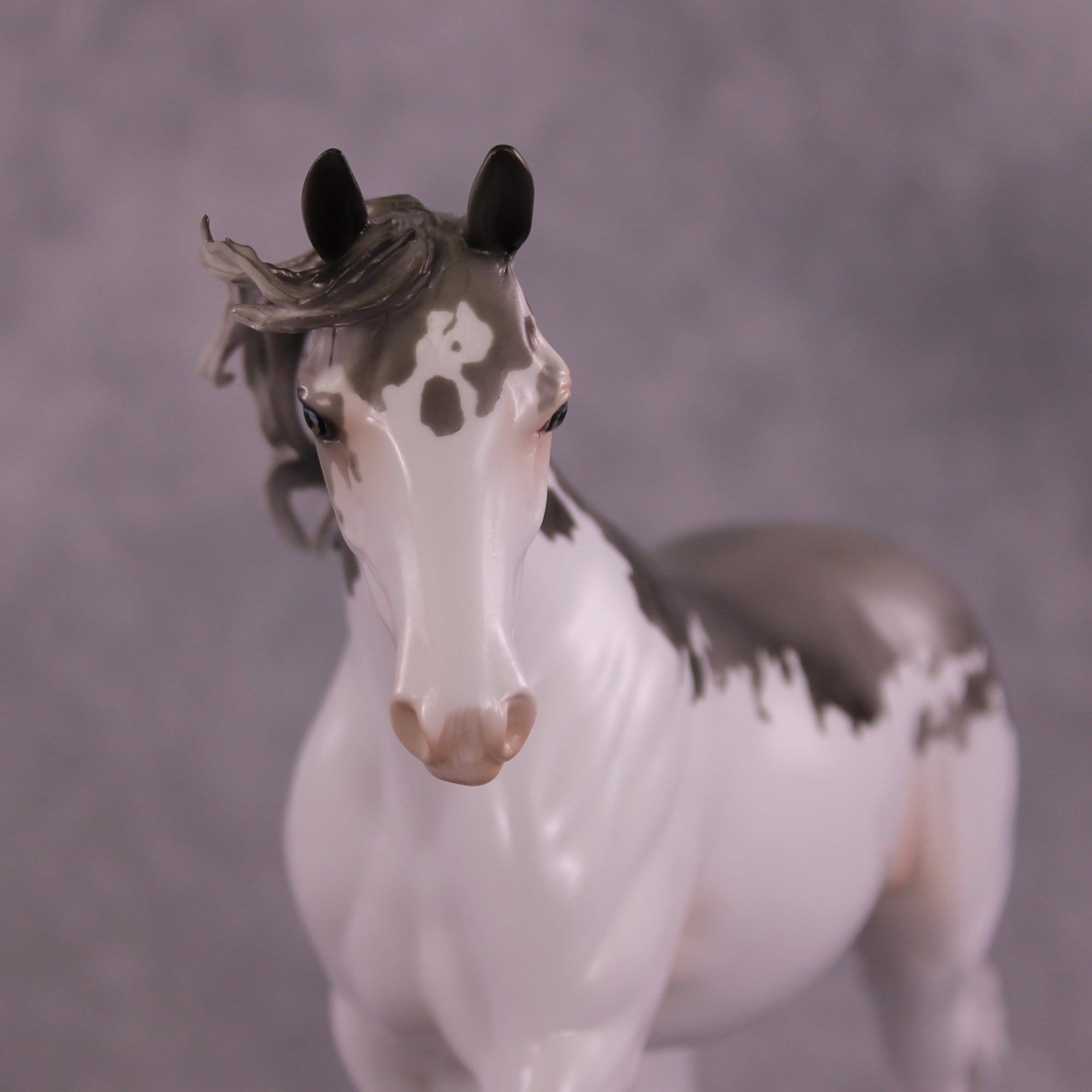 "Distant Star" OOAK FCM Pony by Dawn Quick Best Offer 07/08/25