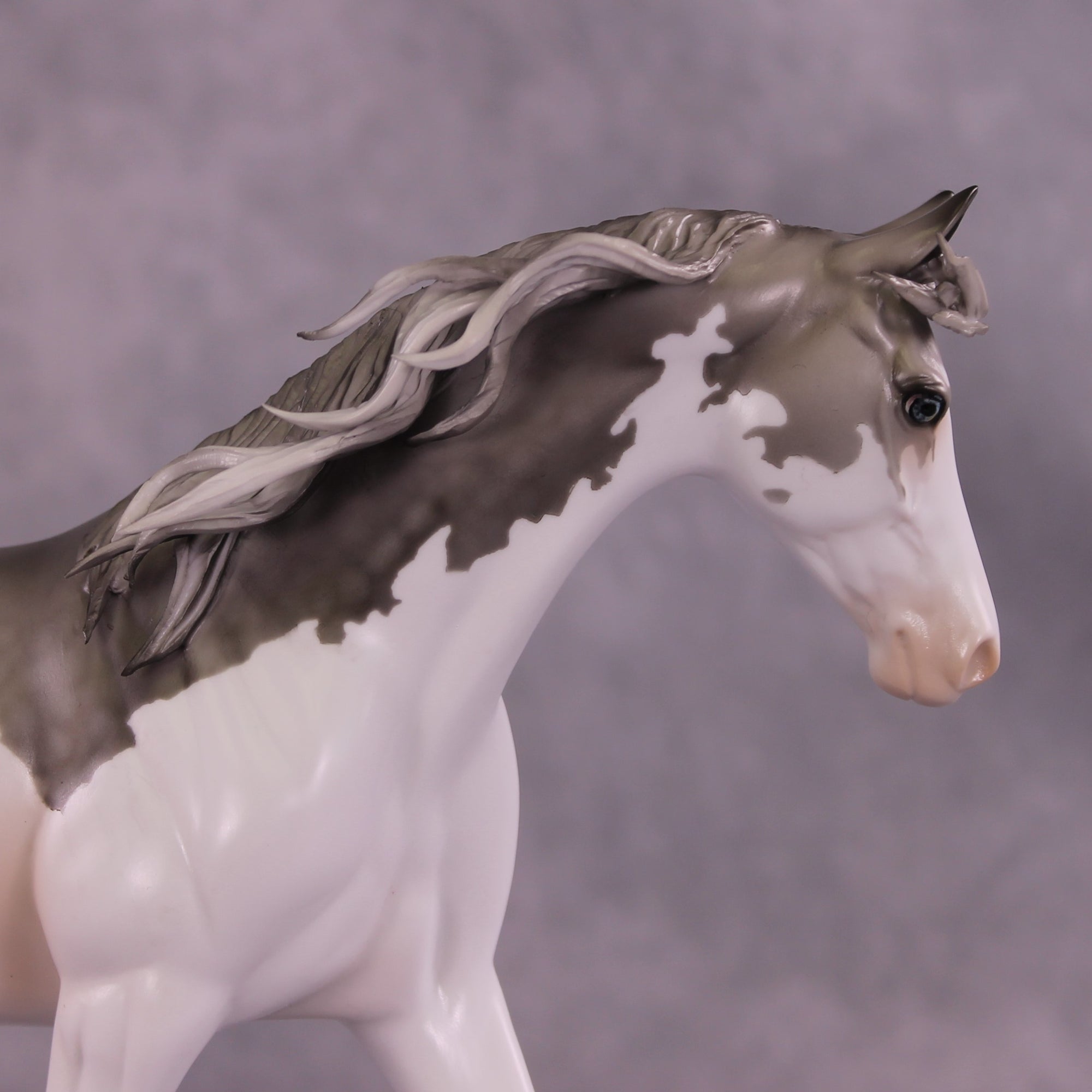 "Distant Star" OOAK FCM Pony by Dawn Quick Best Offer 07/08/25