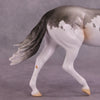 &quot;Distant Star&quot; OOAK FCM Pony by Dawn Quick Best Offer 07/08/25
