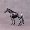 &quot;Hubble&quot; OOAK Thoroughbred Chip by Kike Duarte SHCF25