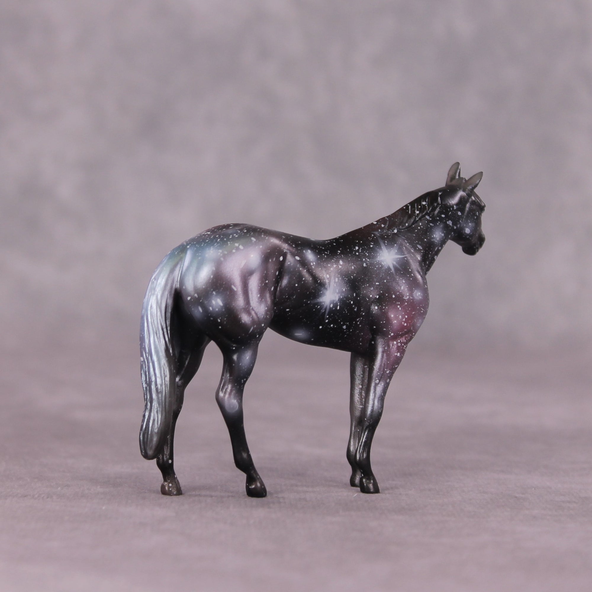 "Hubble" OOAK Thoroughbred Chip by Kike Duarte SHCF25