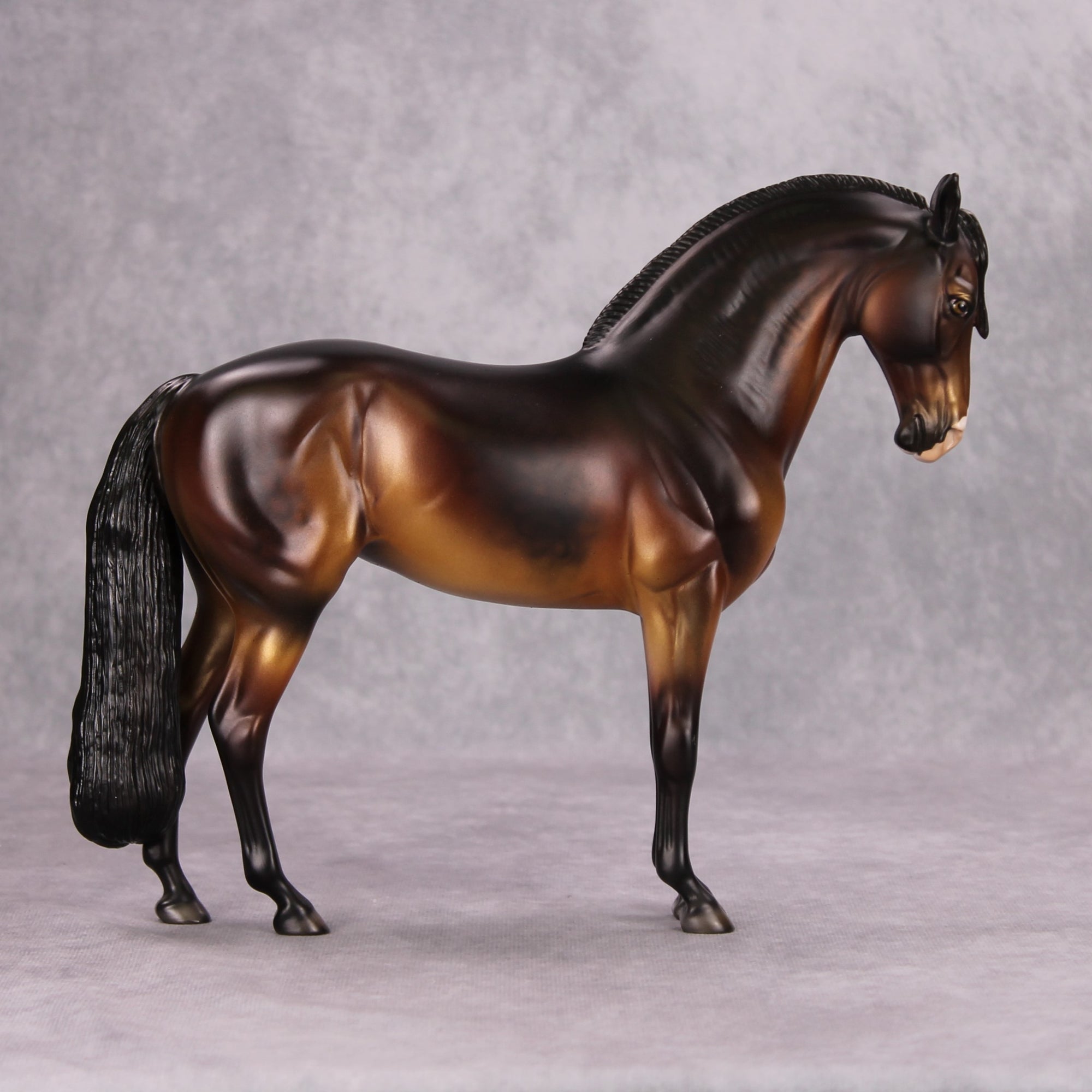 Maxx OOAK Dappled Bay Andalusian By Dawn Quick MM24