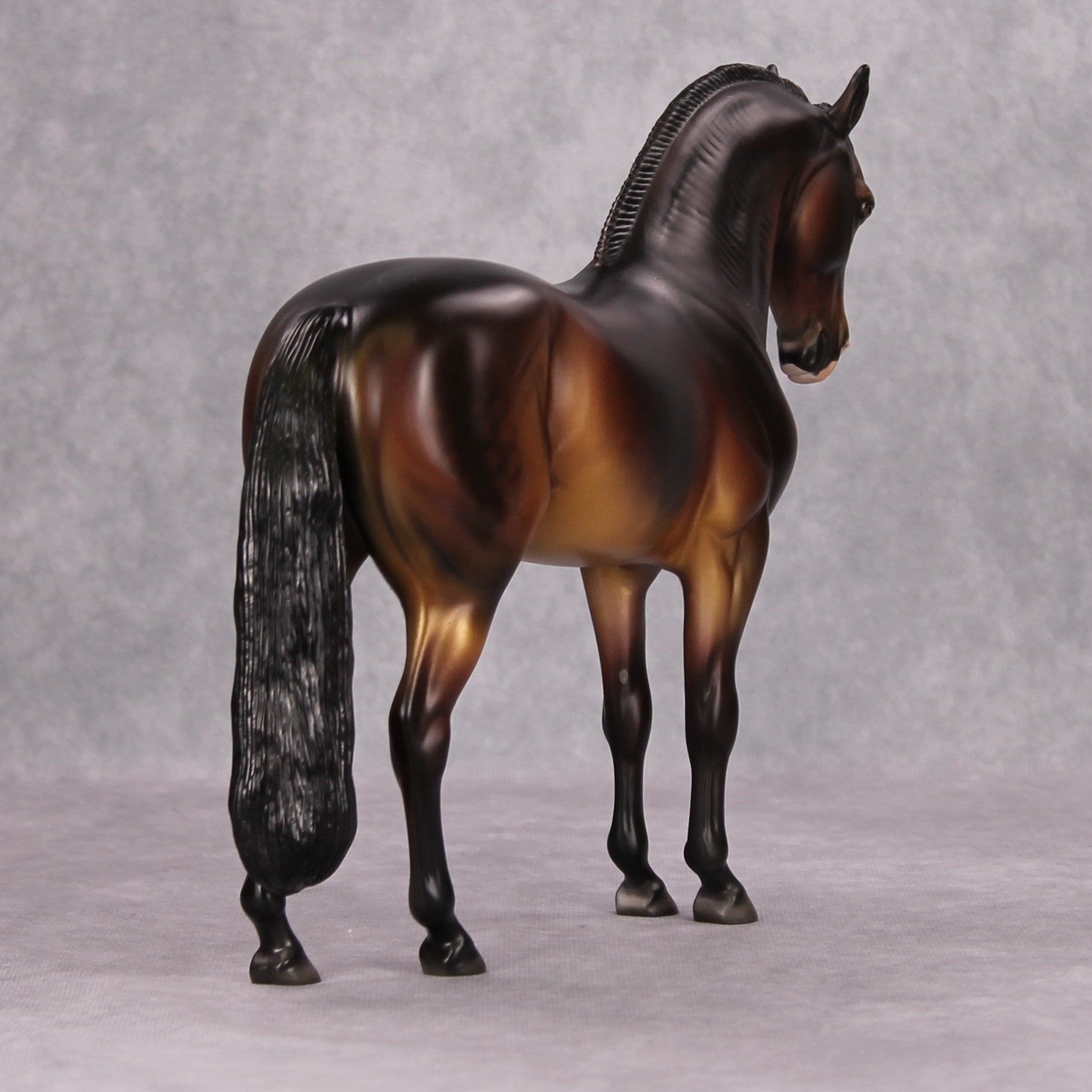 Maxx OOAK Dappled Bay Andalusian By Dawn Quick MM24