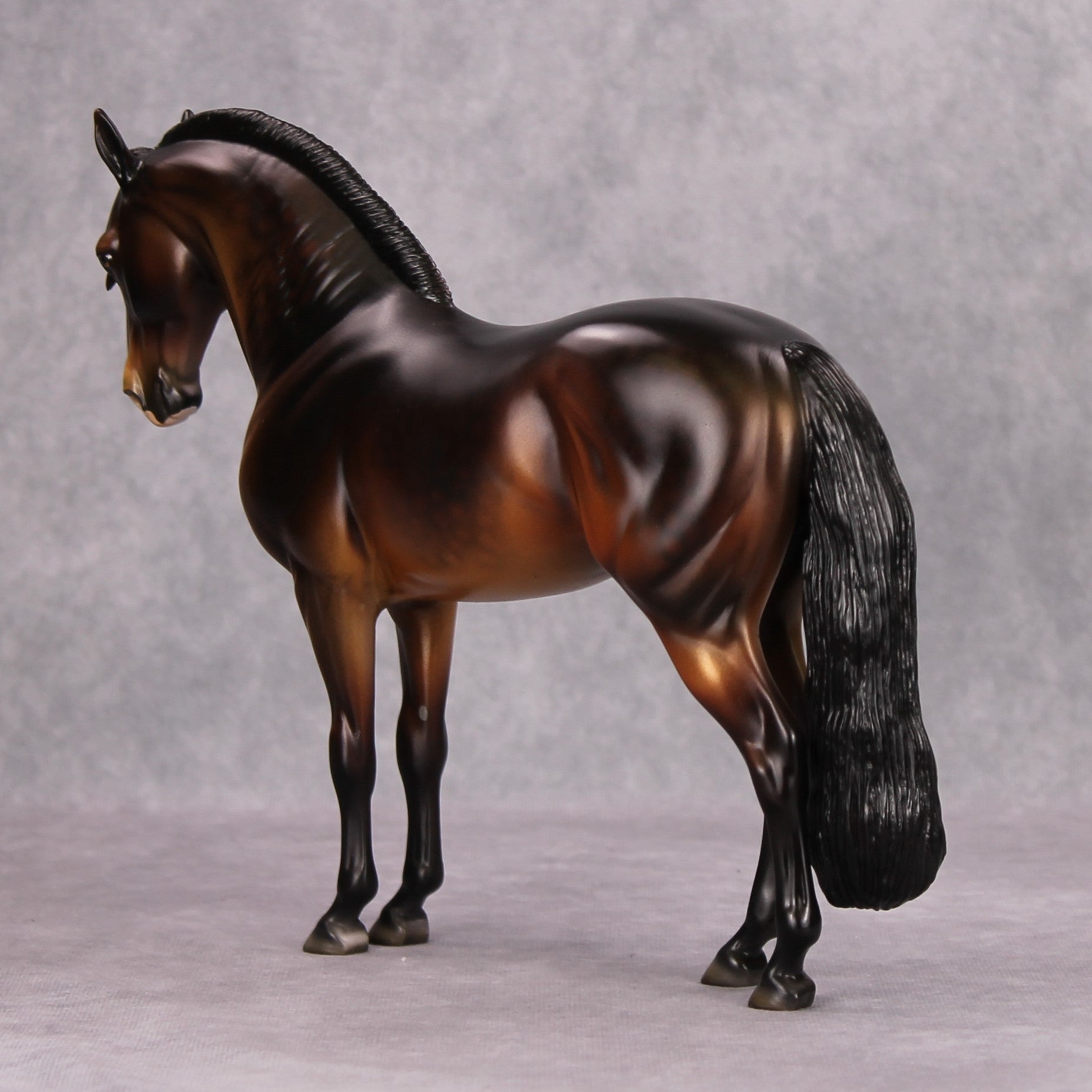 Maxx OOAK Dappled Bay Andalusian By Dawn Quick MM24