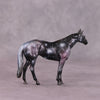 &quot;Hubble&quot; OOAK Thoroughbred Chip by Kike Duarte SHCF25
