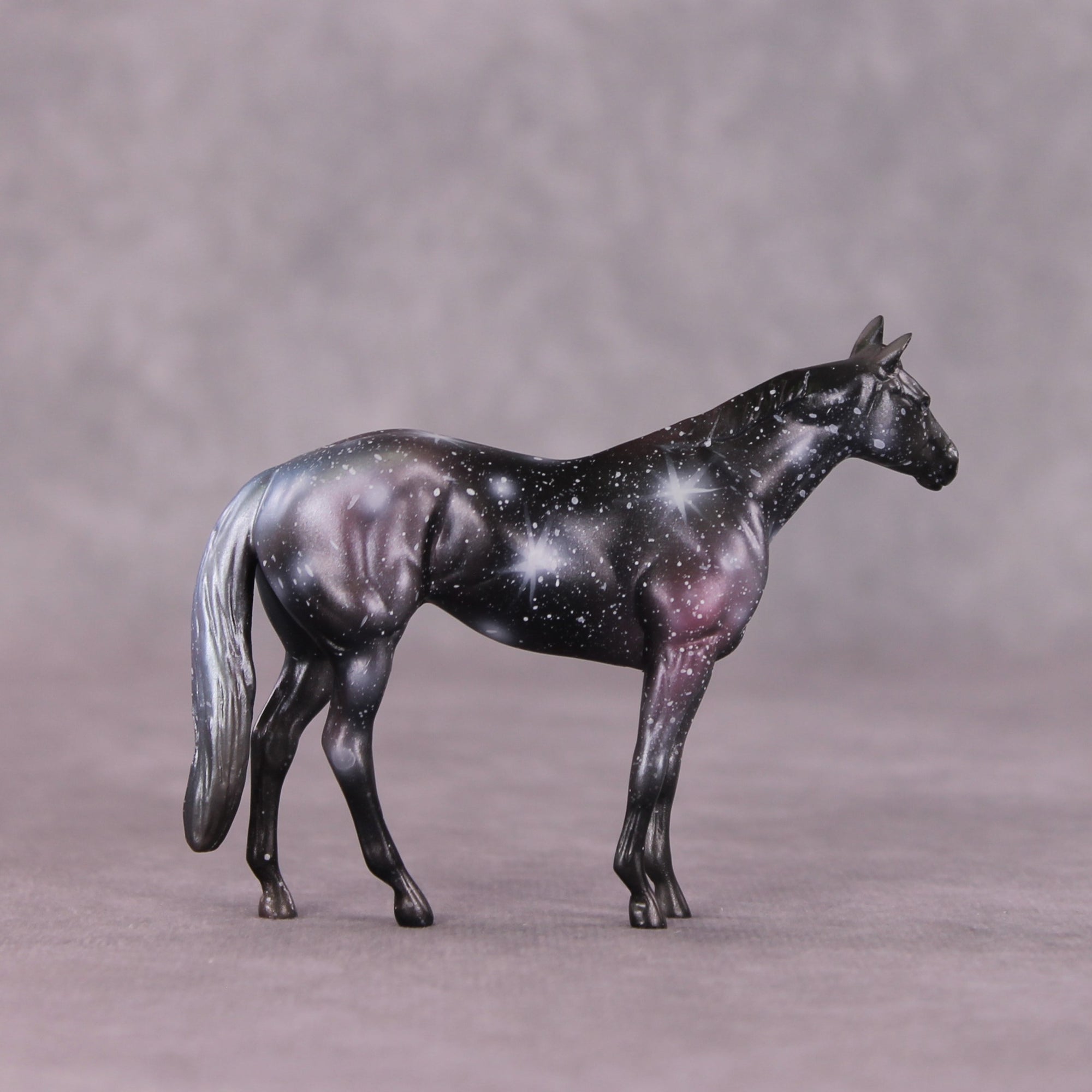 "Hubble" OOAK Thoroughbred Chip by Kike Duarte SHCF25